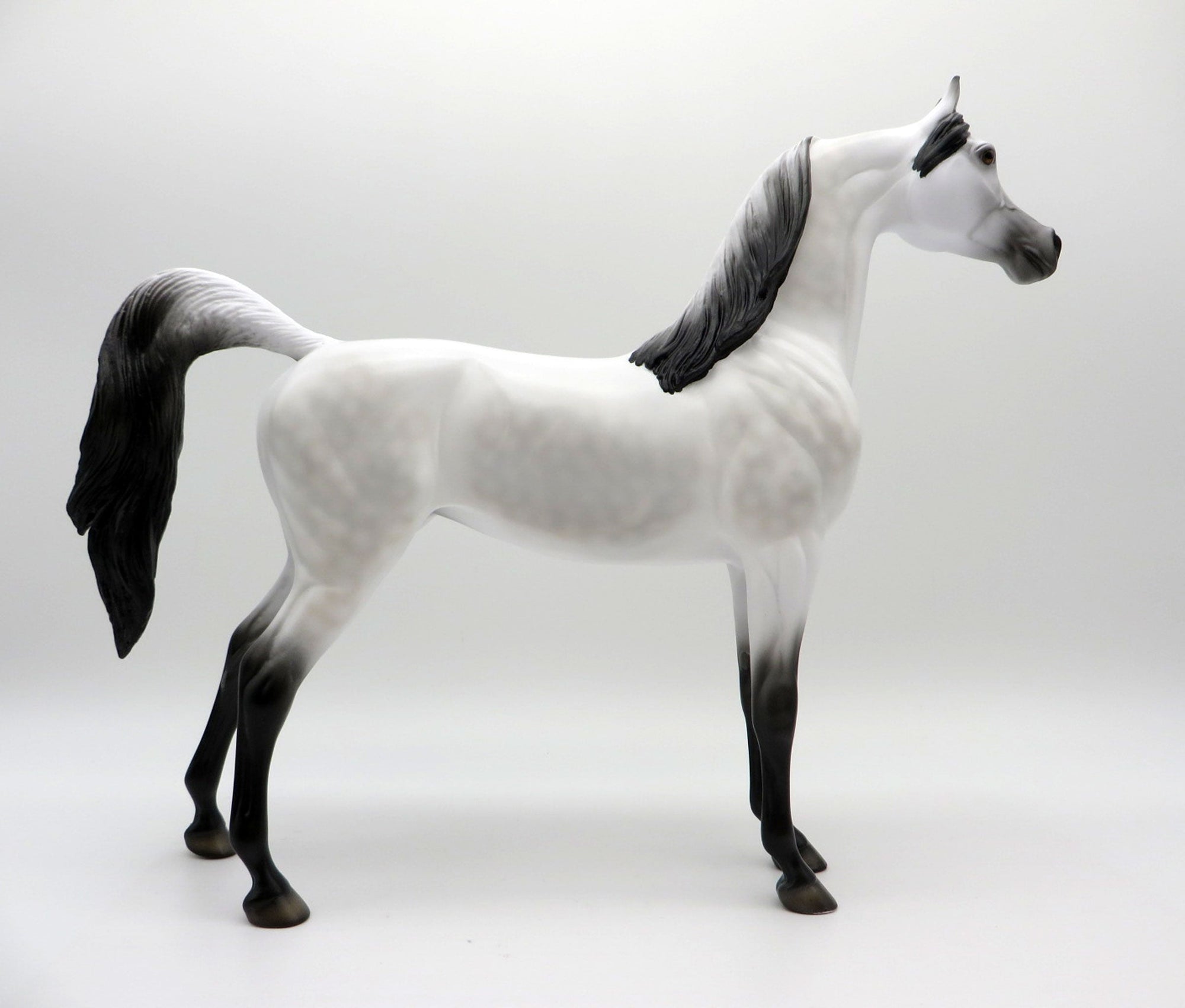 Little Green Prince LE-30 Traditional Arabian Painted By Ellen Robbins EQ 2021