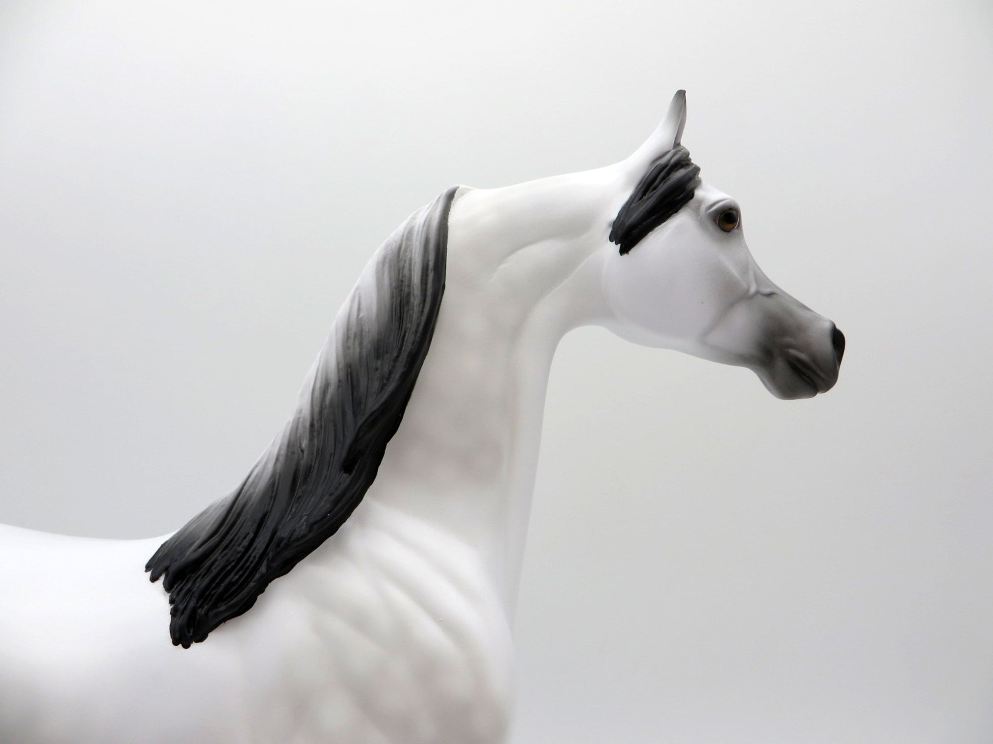 Little Green Prince LE-30 Traditional Arabian Painted By Ellen Robbins EQ 2021