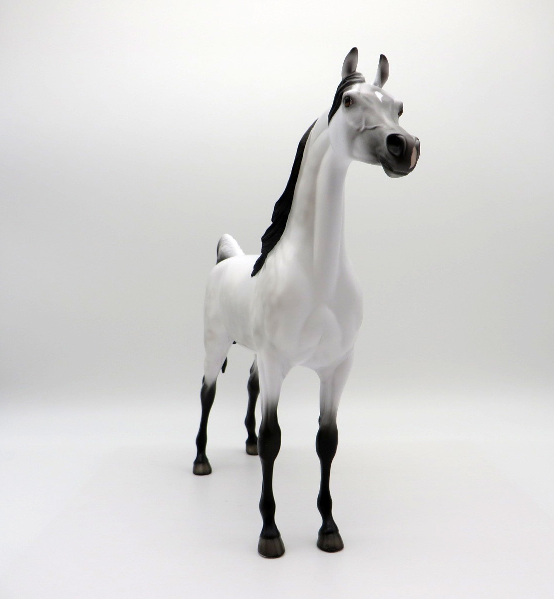 Little Green Prince LE-30 Traditional Arabian Painted By Ellen Robbins EQ 2021