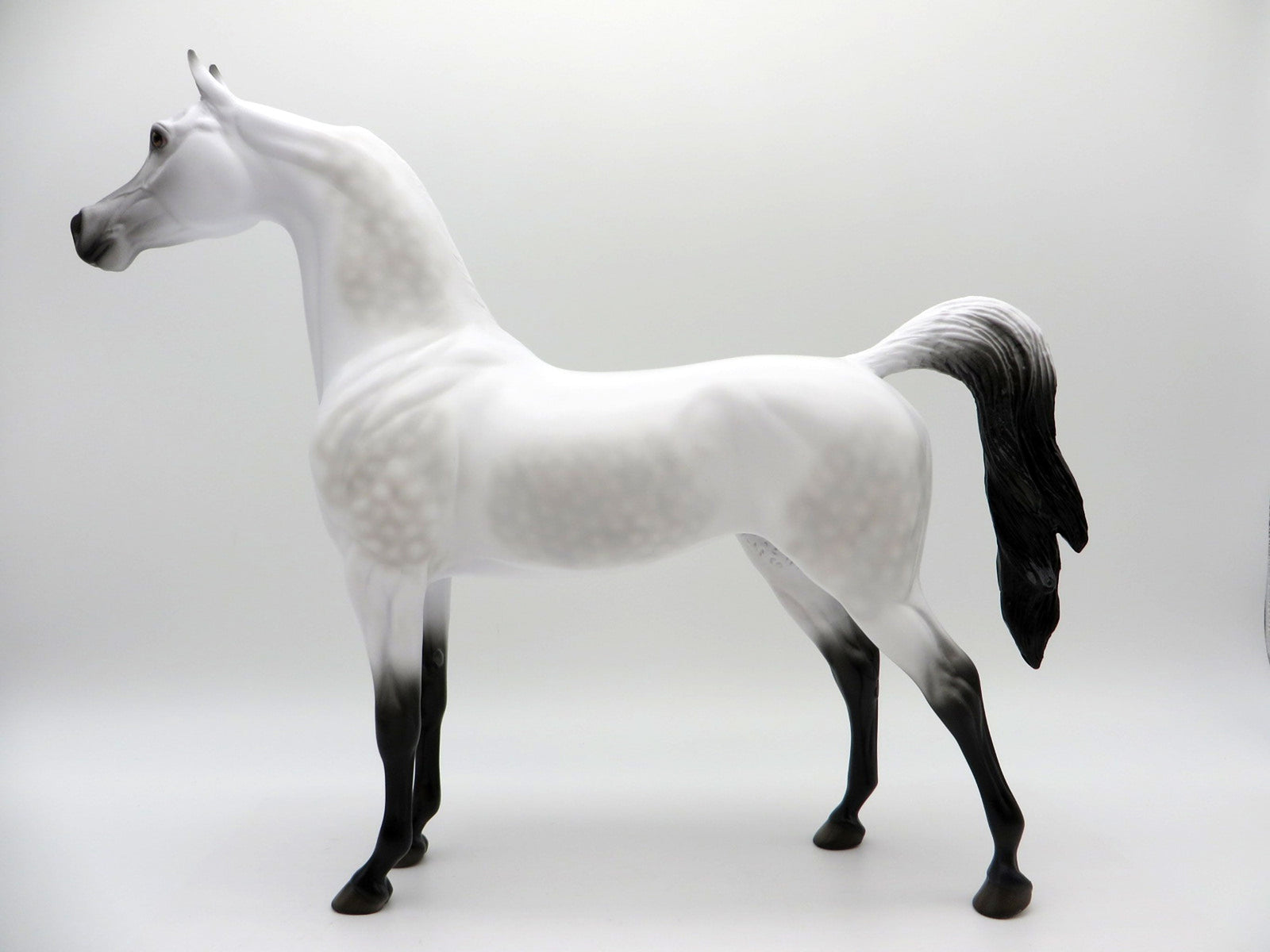 Little Green Prince LE-30 Traditional Arabian Painted By Ellen Robbins EQ 2021