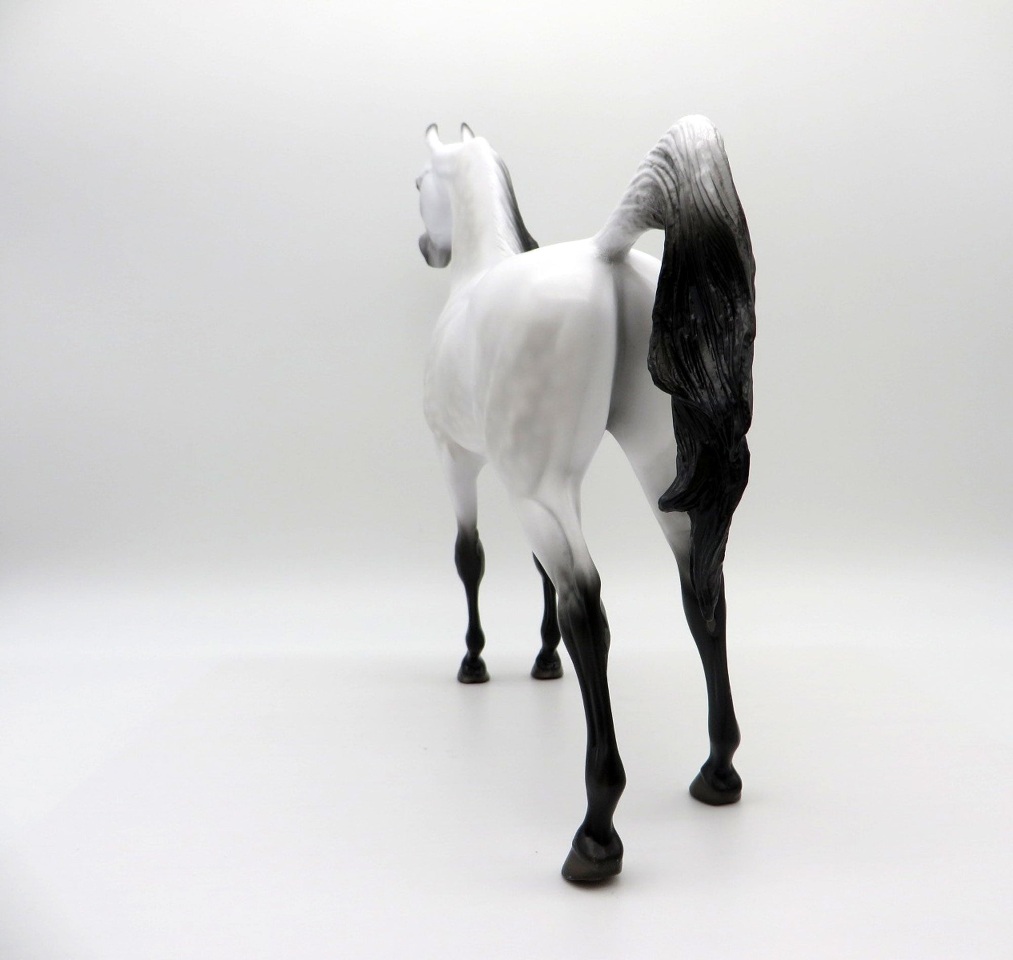 Little Green Prince LE-30 Traditional Arabian Painted By Ellen Robbins EQ 2021