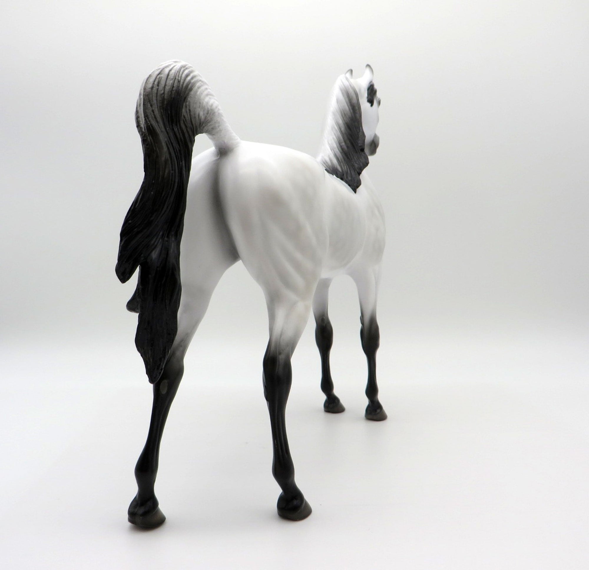 Little Green Prince LE-30 Traditional Arabian Painted By Ellen Robbins EQ 2021