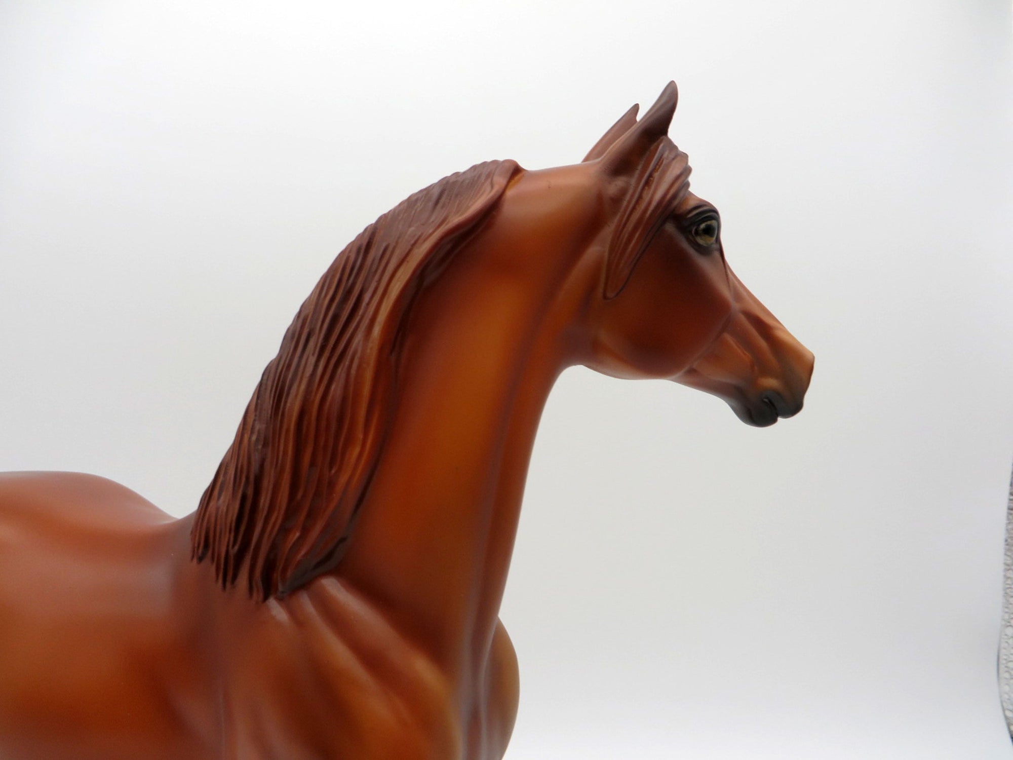 Little Green Prince LE-30 Traditional Morgan Painted By Julie Keim EQ 2021