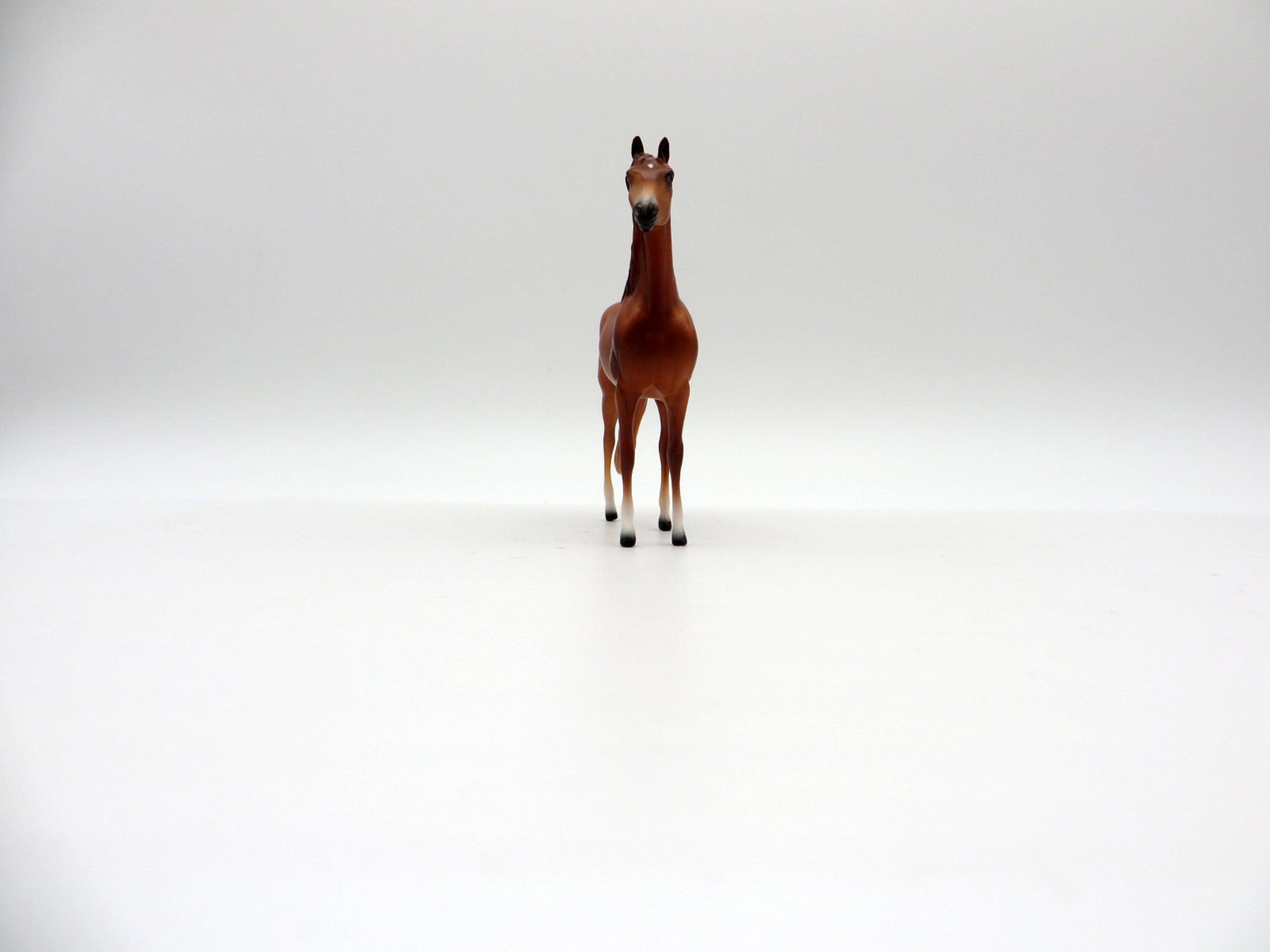 Little Green Prince Morgan and Arabian Chip SET- Art of the Horse Finalist EQ 2021