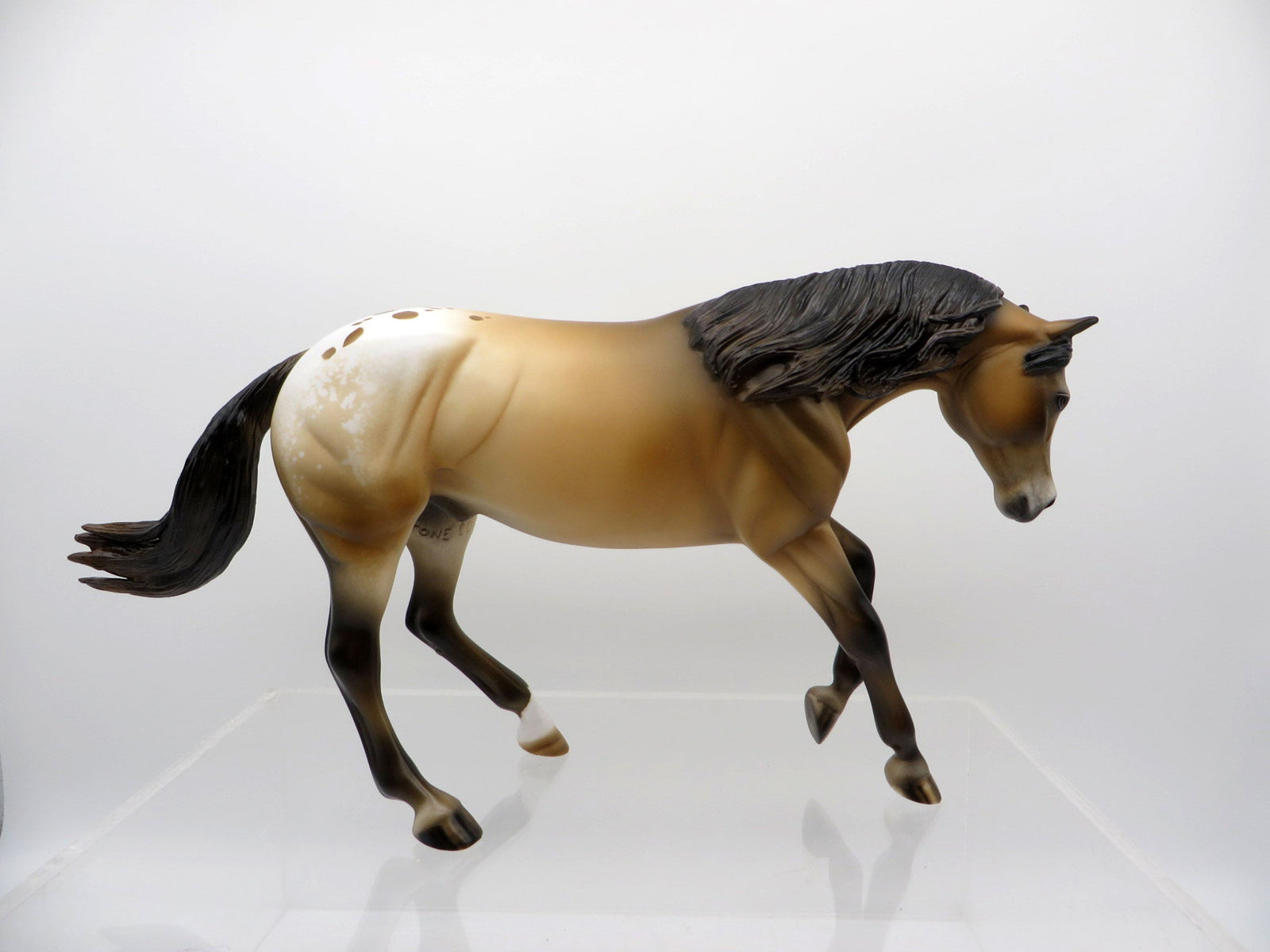 Little Lazy-LE-15 Performance Ranch Horse-Ranch Horse Series 3/19/21