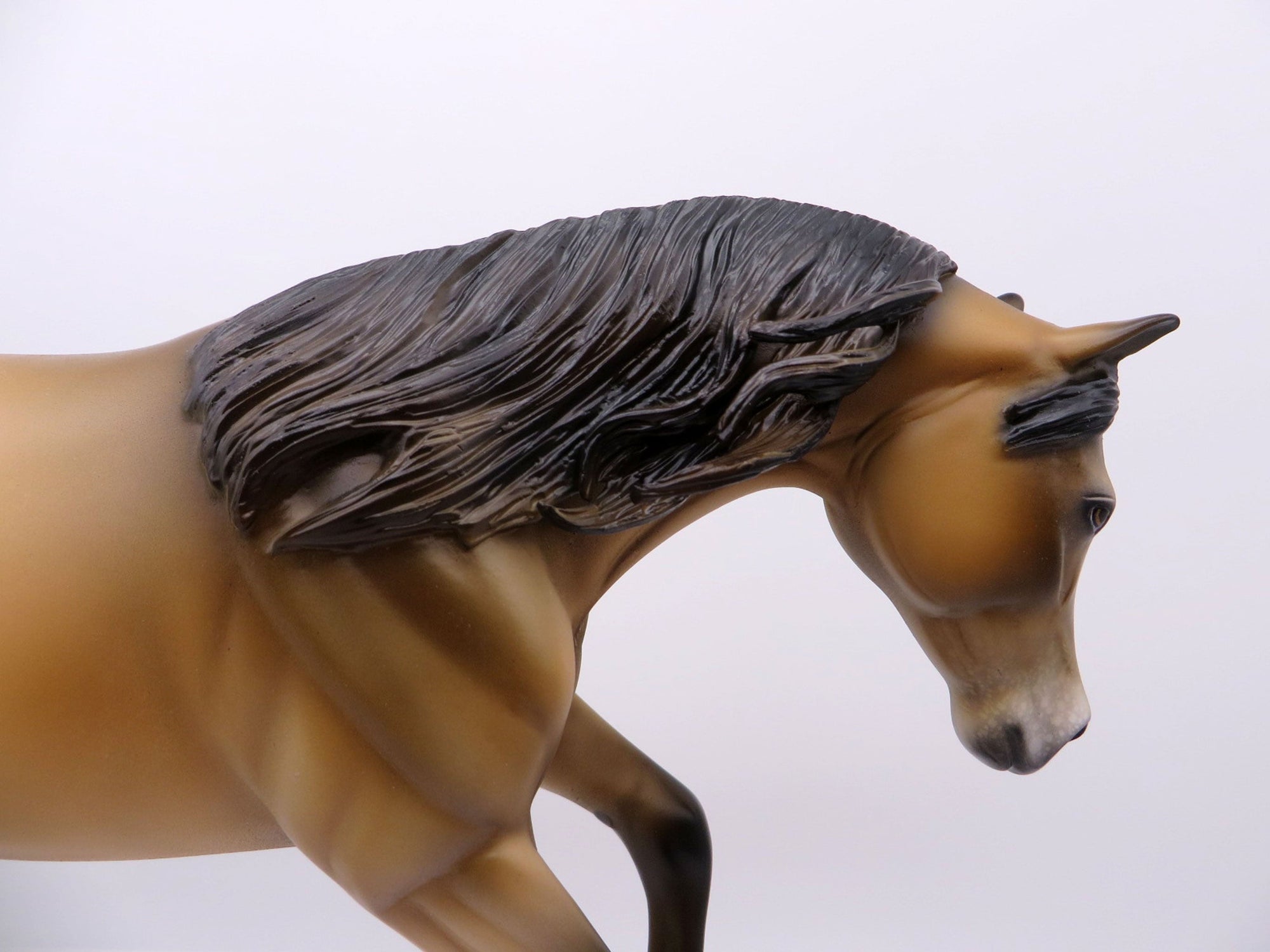 Little Lazy-LE-15 Performance Ranch Horse-Ranch Horse Series 3/19/21