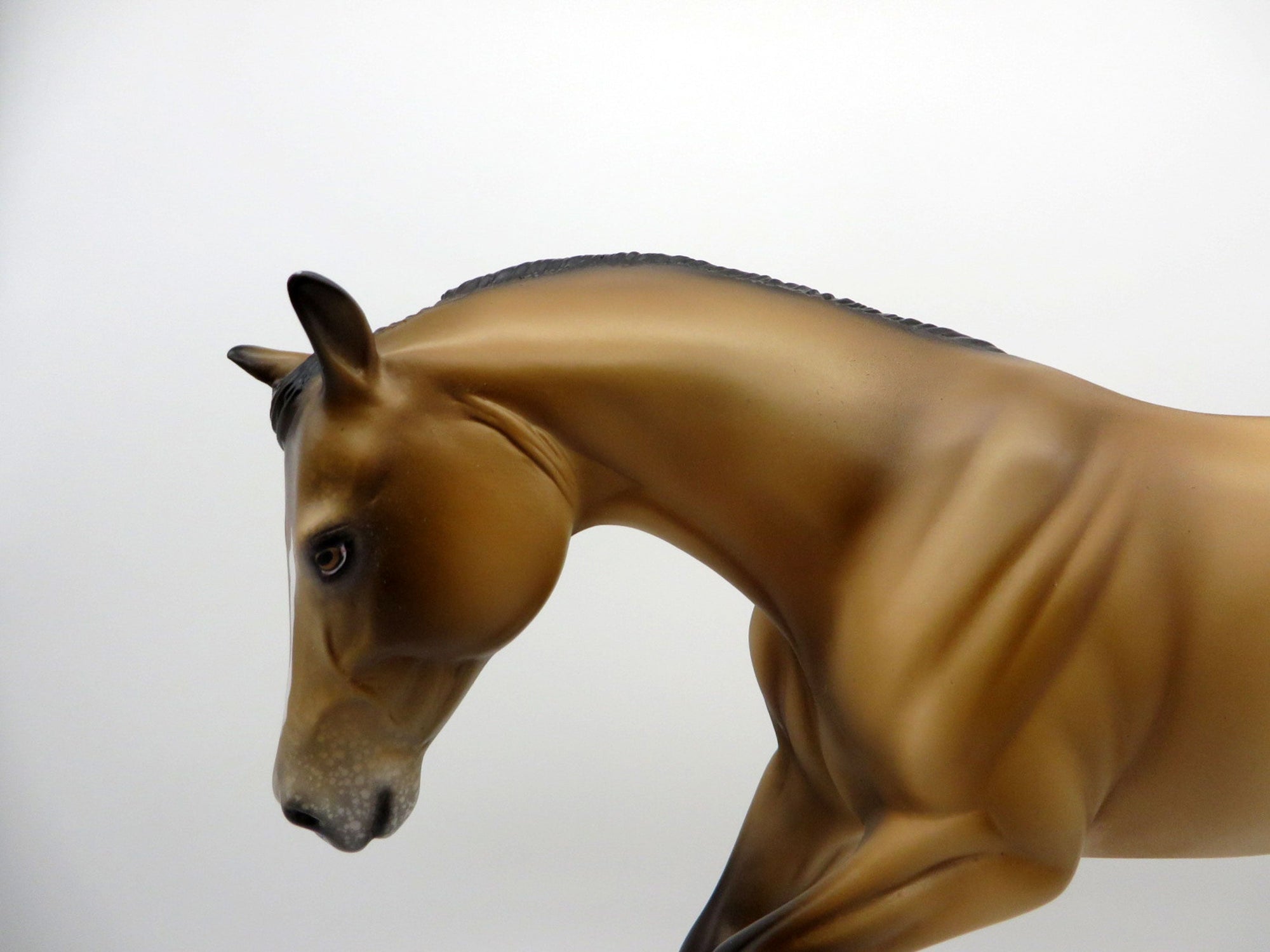 Little Lazy-LE-15 Performance Ranch Horse-Ranch Horse Series 3/19/21