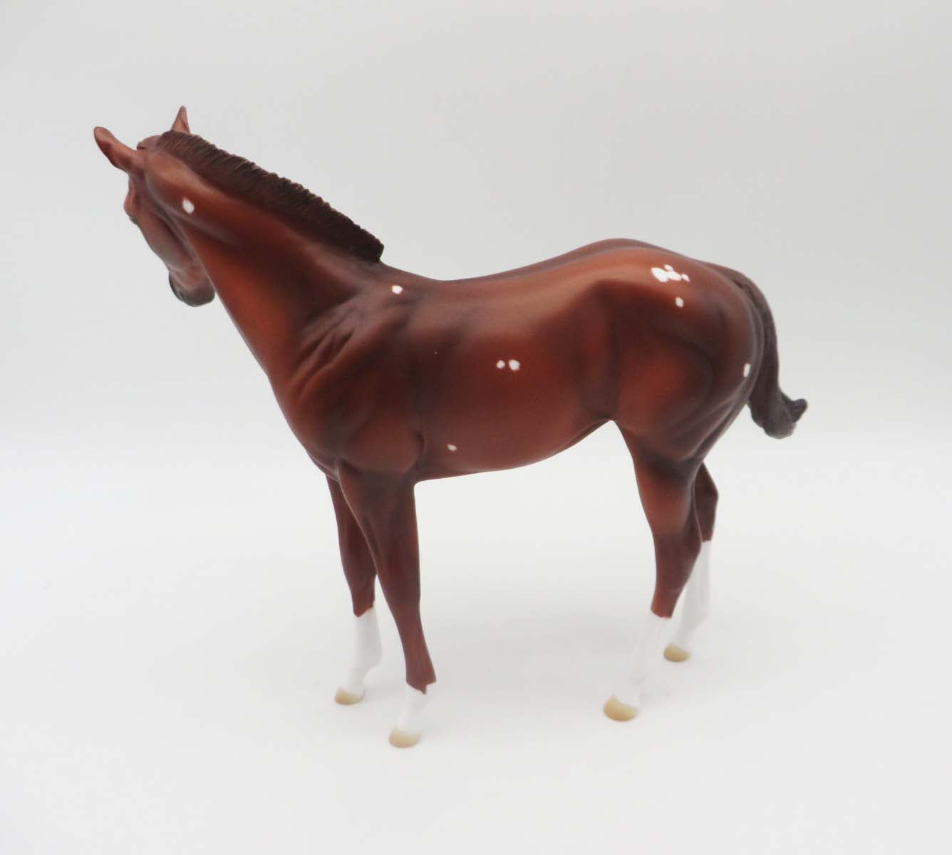 Little Bird-OOAK Chestnut Weanling By Ashley SHCF23