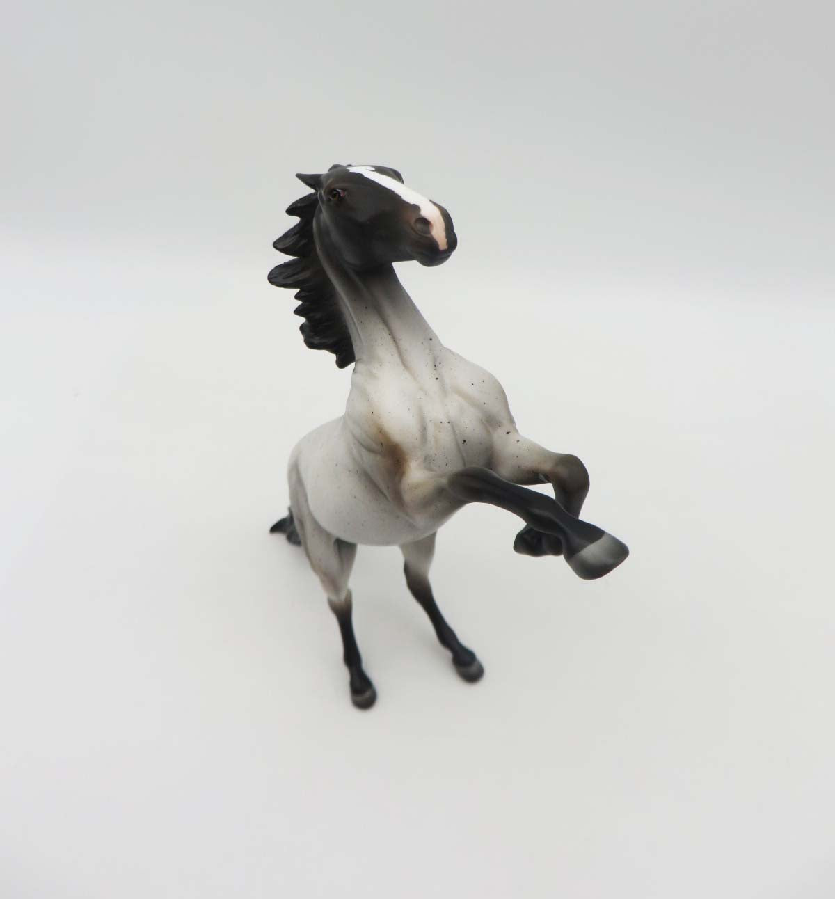 SAMPLE of Little Blue Thunder  Loyalty Club 22/23 Blue Roan Rearing Pebble By Jess Hamill - 04/24/23