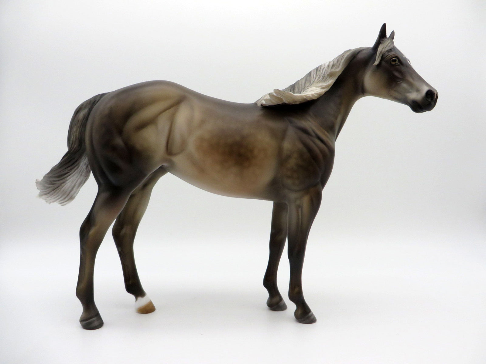 Liu-OOAK Chocolate Palomino ISH  Equilocity 2021 Painted by Julie Keim