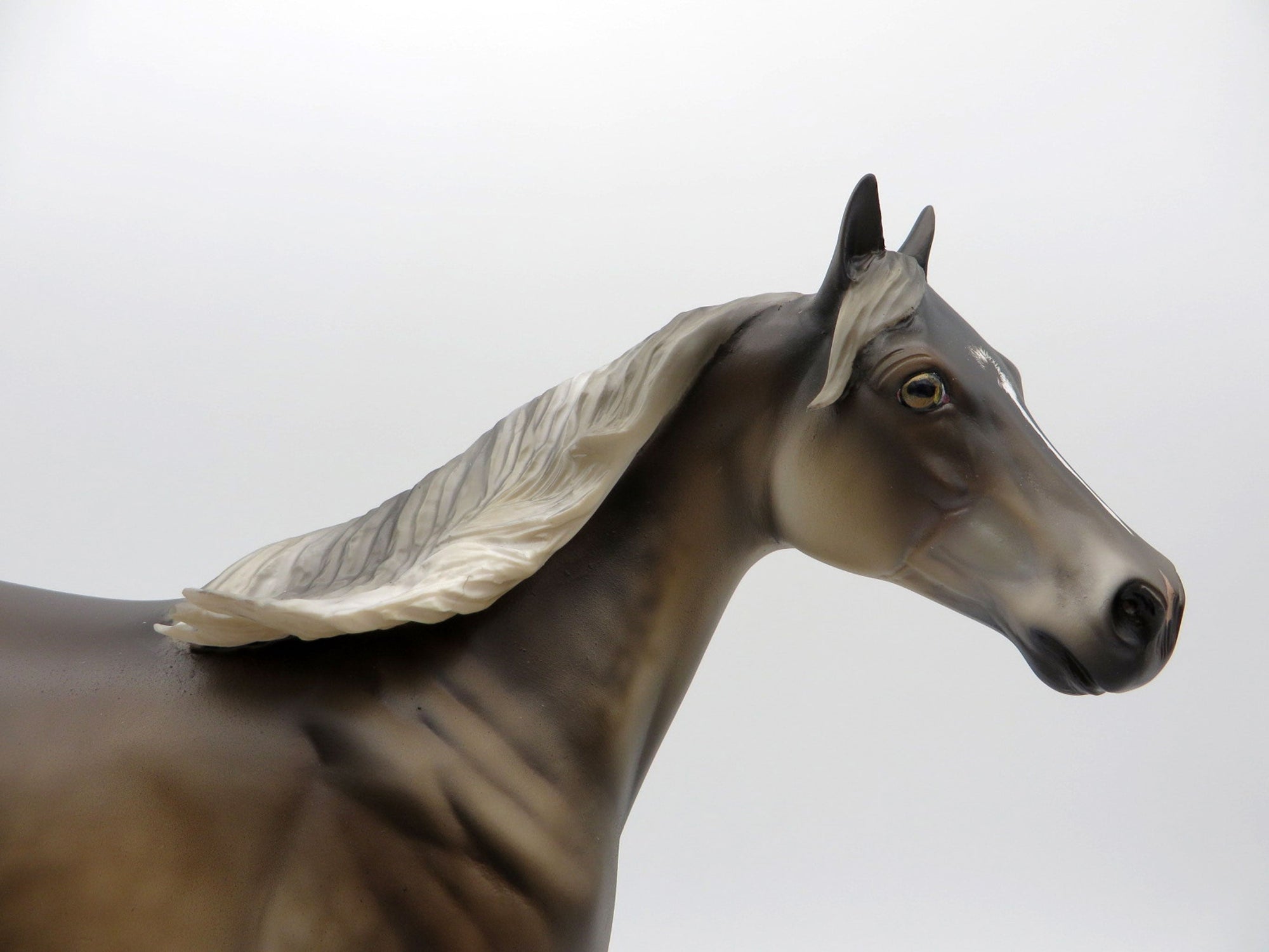 Liu-OOAK Chocolate Palomino ISH  Equilocity 2021 Painted by Julie Keim