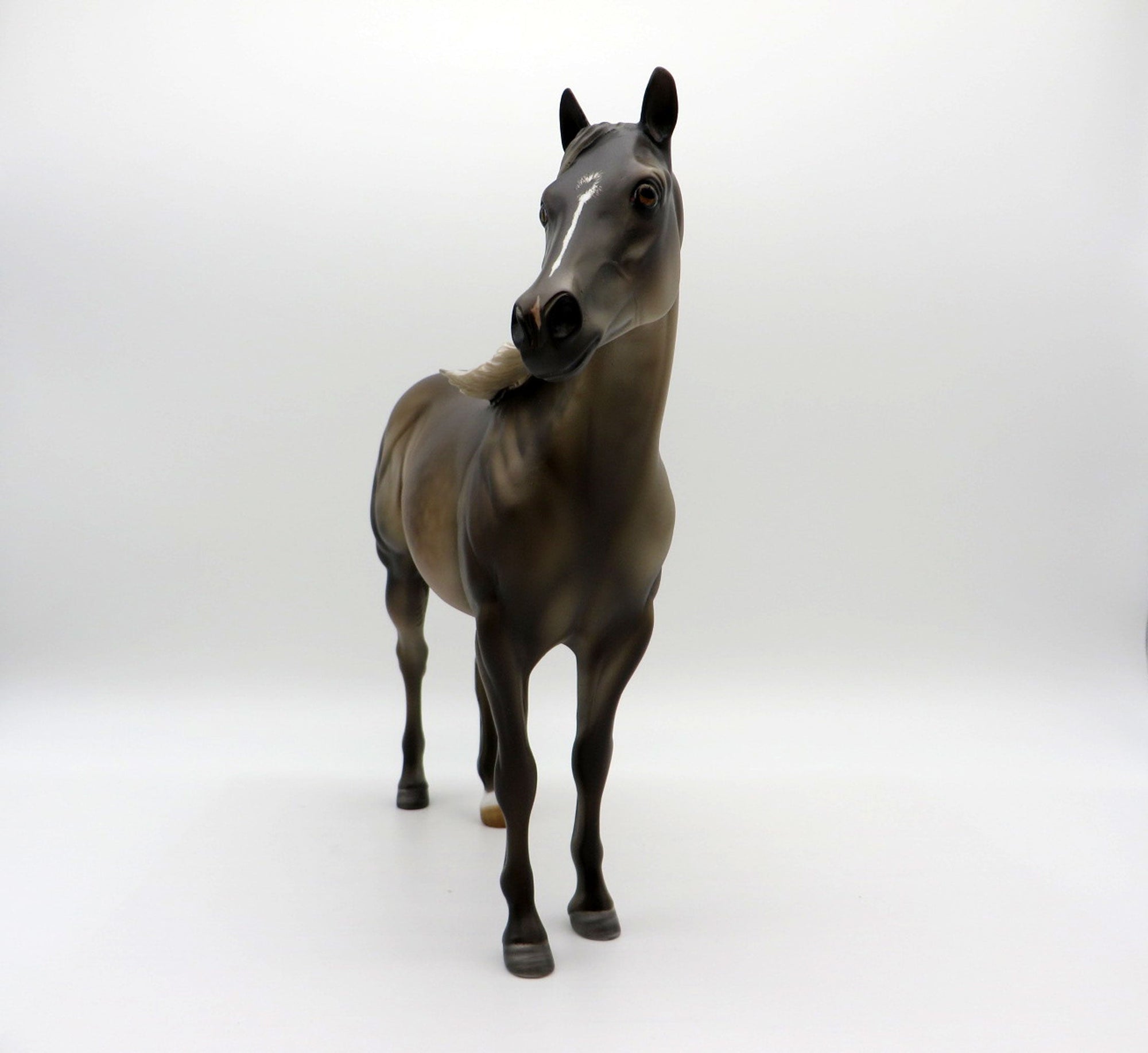 Liu-OOAK Chocolate Palomino ISH  Equilocity 2021 Painted by Julie Keim