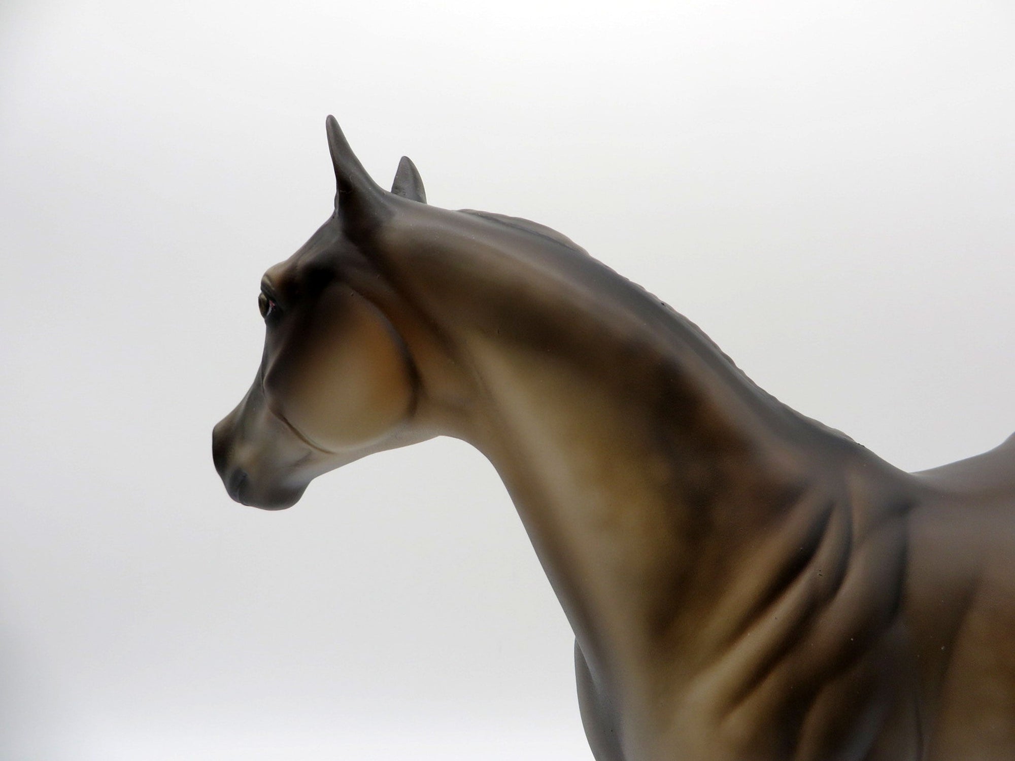 Liu-OOAK Chocolate Palomino ISH  Equilocity 2021 Painted by Julie Keim