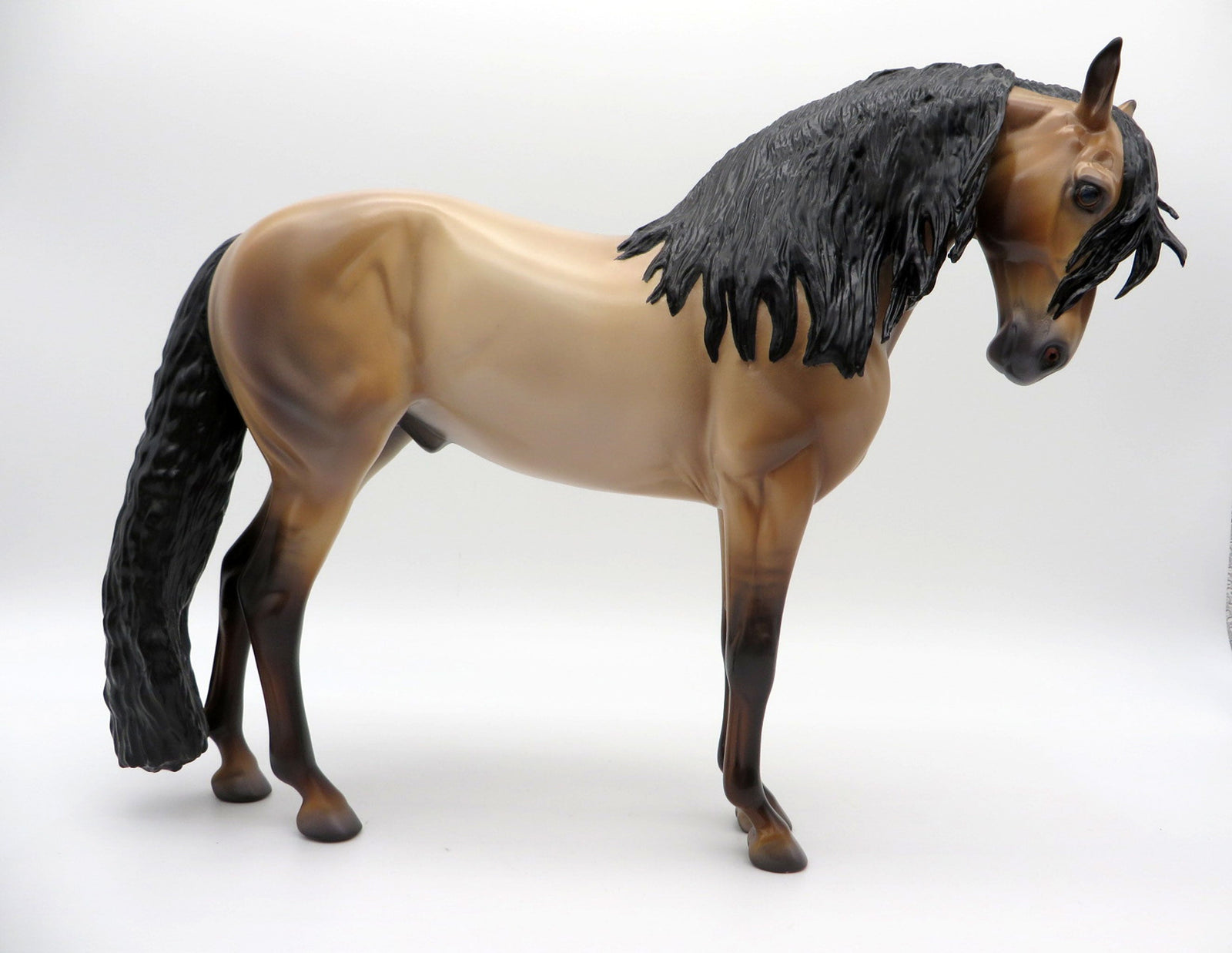 Logan-OOAK Buckskin Andalusian  Painted By Caroline Boydston 6/22/21