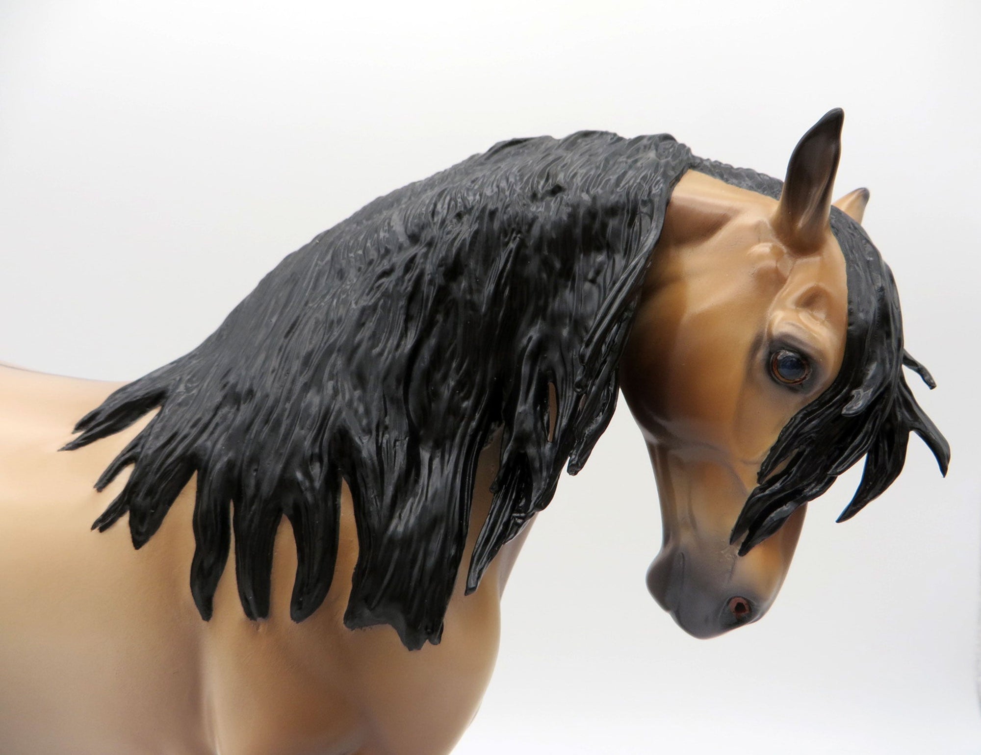 Logan-OOAK Buckskin Andalusian  Painted By Caroline Boydston 6/22/21