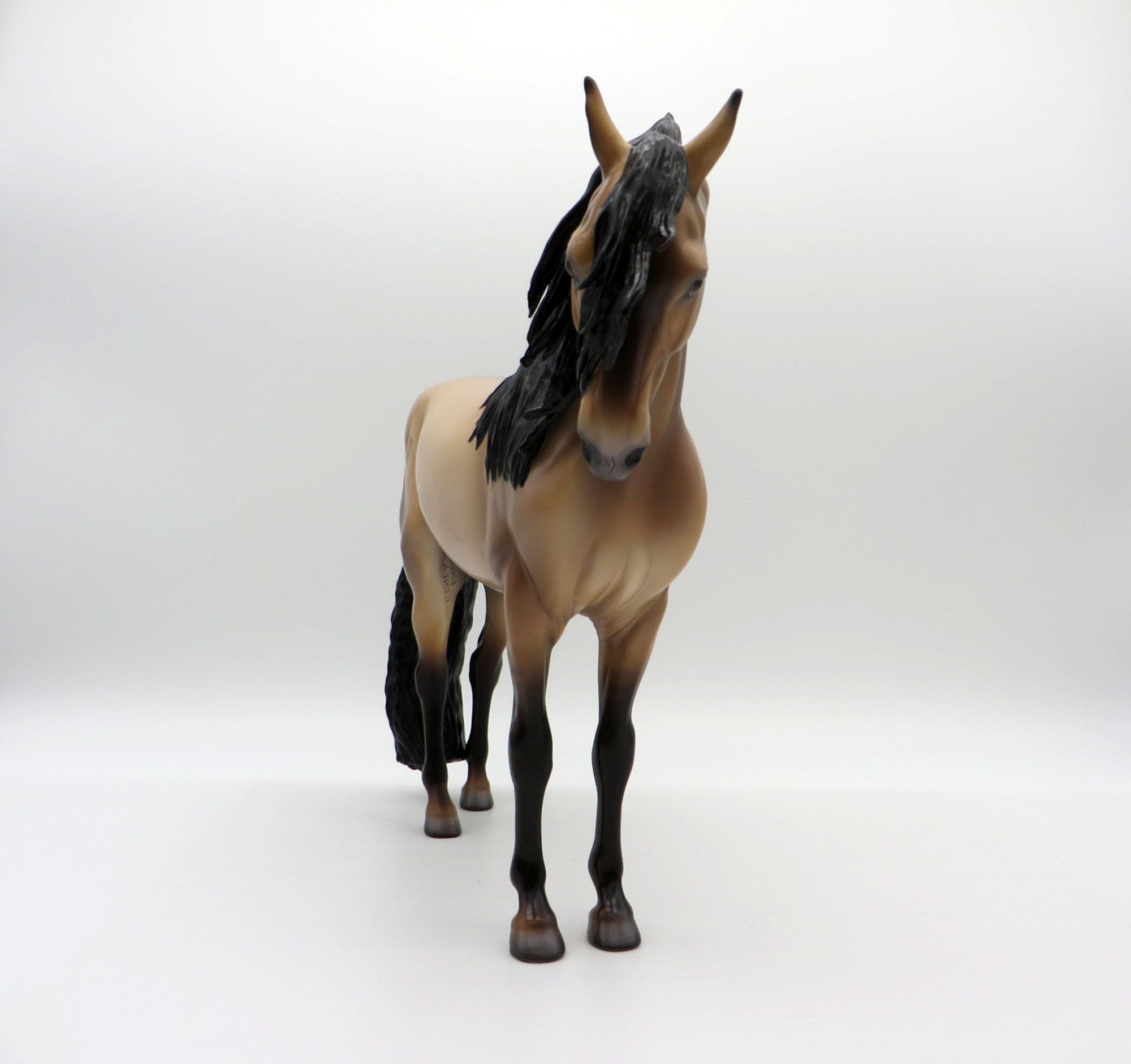 Logan-OOAK Buckskin Andalusian  Painted By Caroline Boydston 6/22/21