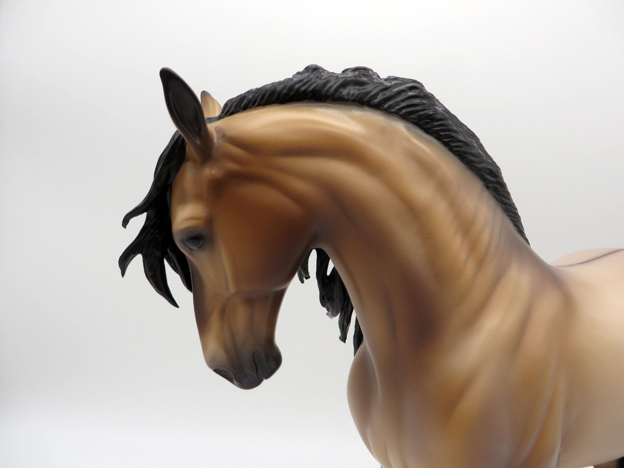 Logan-OOAK Buckskin Andalusian  Painted By Caroline Boydston 6/22/21