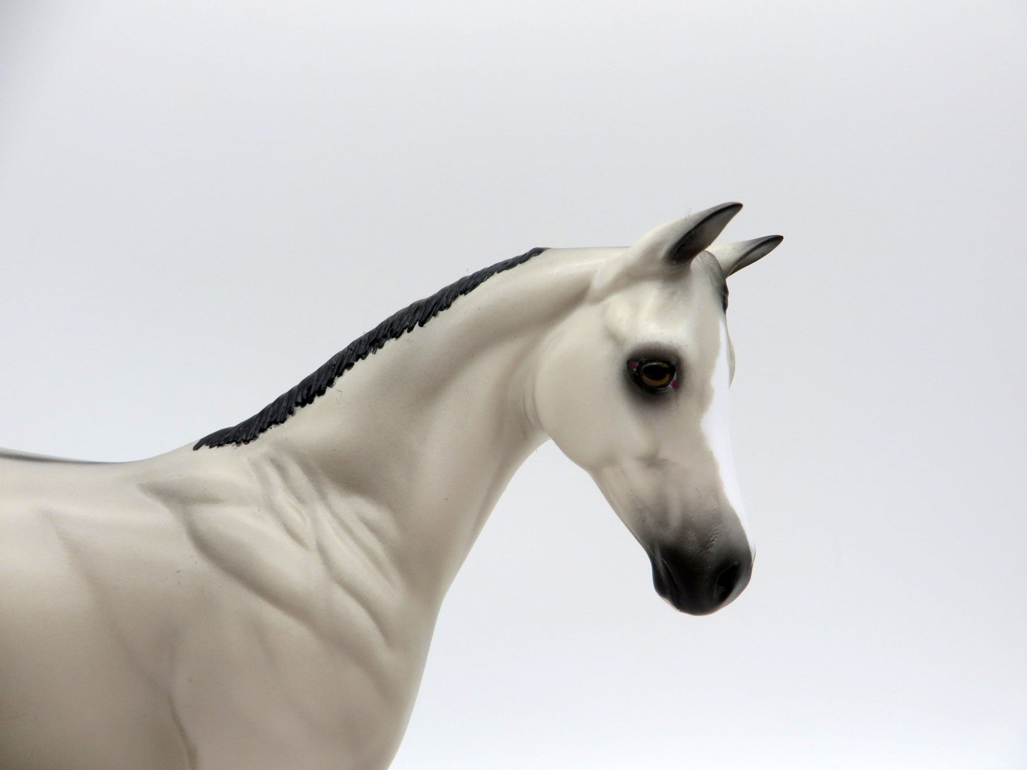 Lord Byron-OOAK Grulla Weanling Painted by Ellen EQ 21