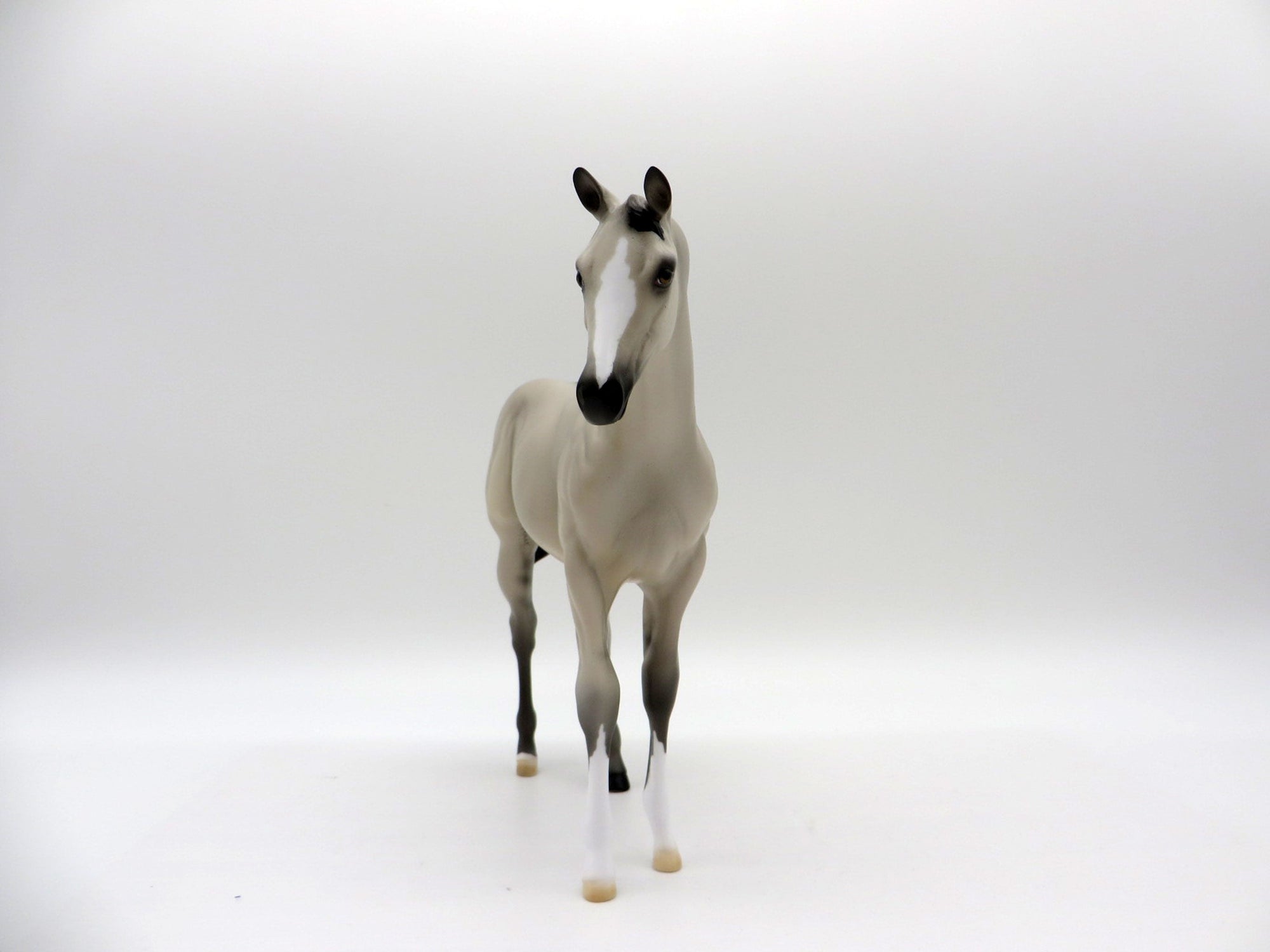 Lord Byron-OOAK Grulla Weanling Painted by Ellen EQ 21