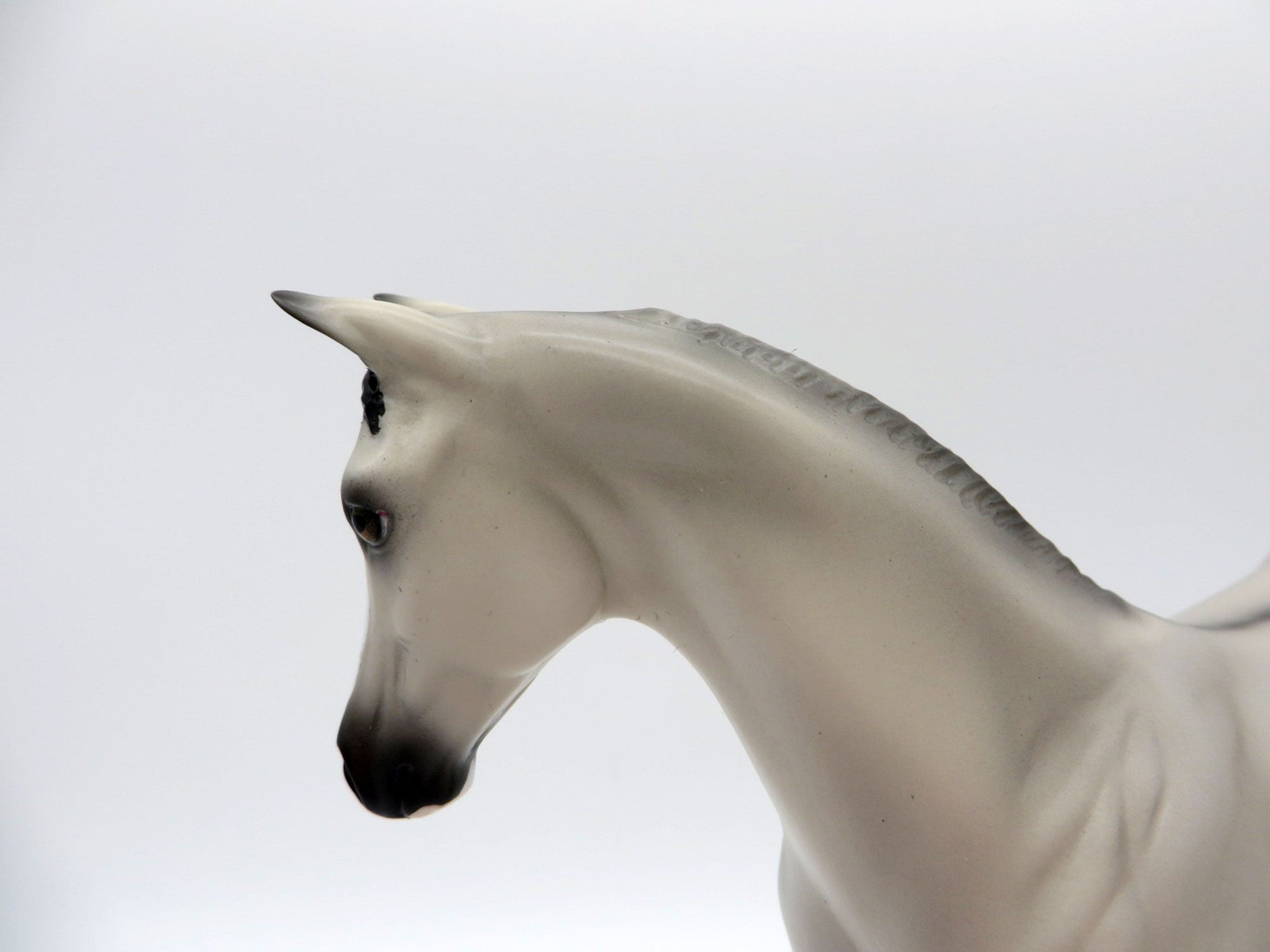 Lord Byron-OOAK Grulla Weanling Painted by Ellen EQ 21