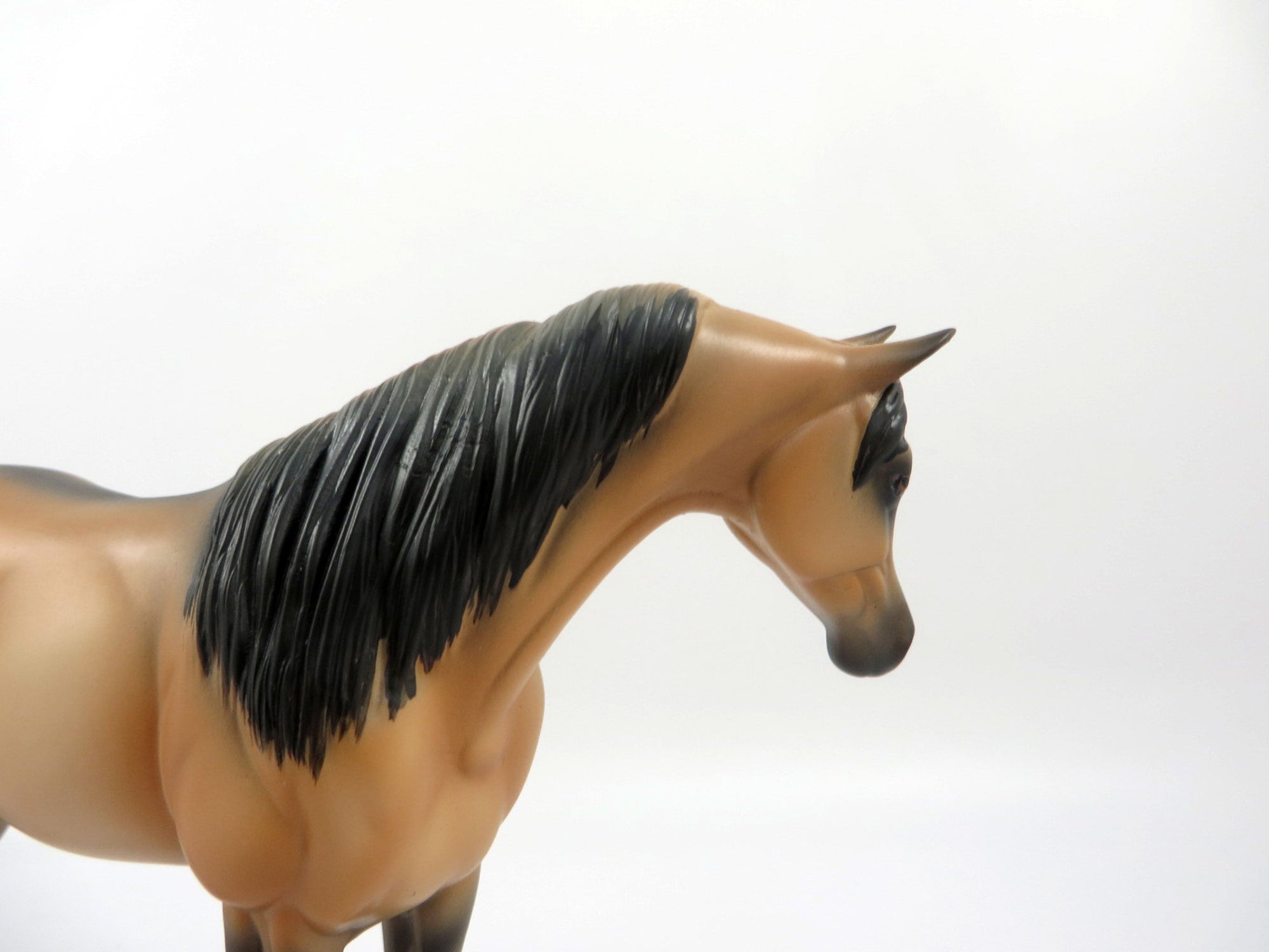 Love Maker-OOAK Buckskin Arabian Pebbles 2/19/21