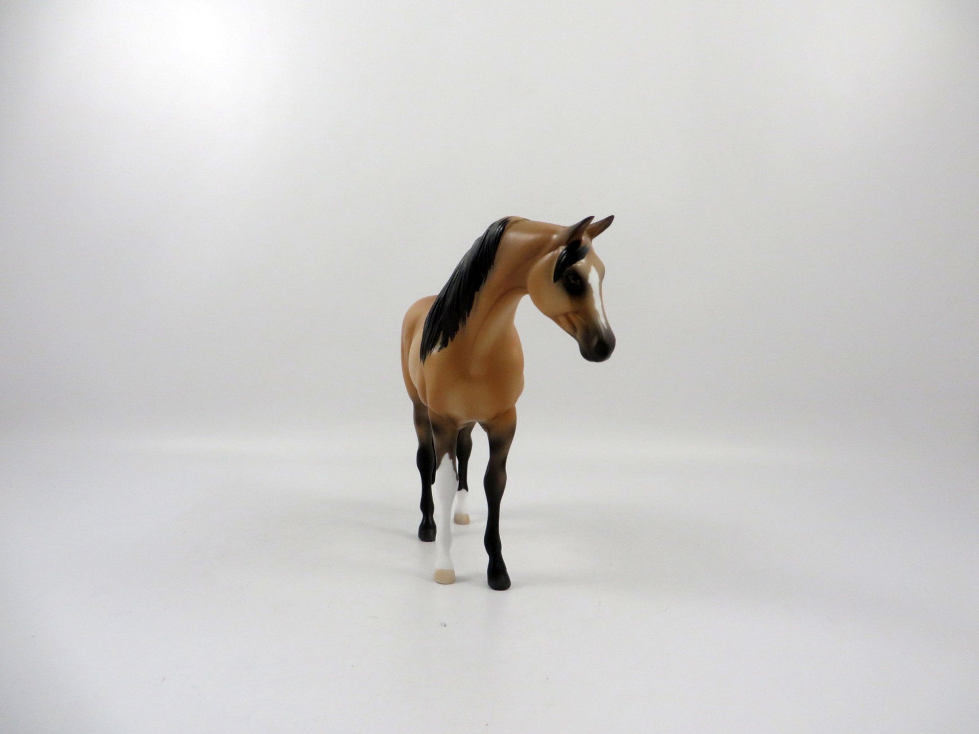 Love Maker-OOAK Buckskin Arabian Pebbles 2/19/21