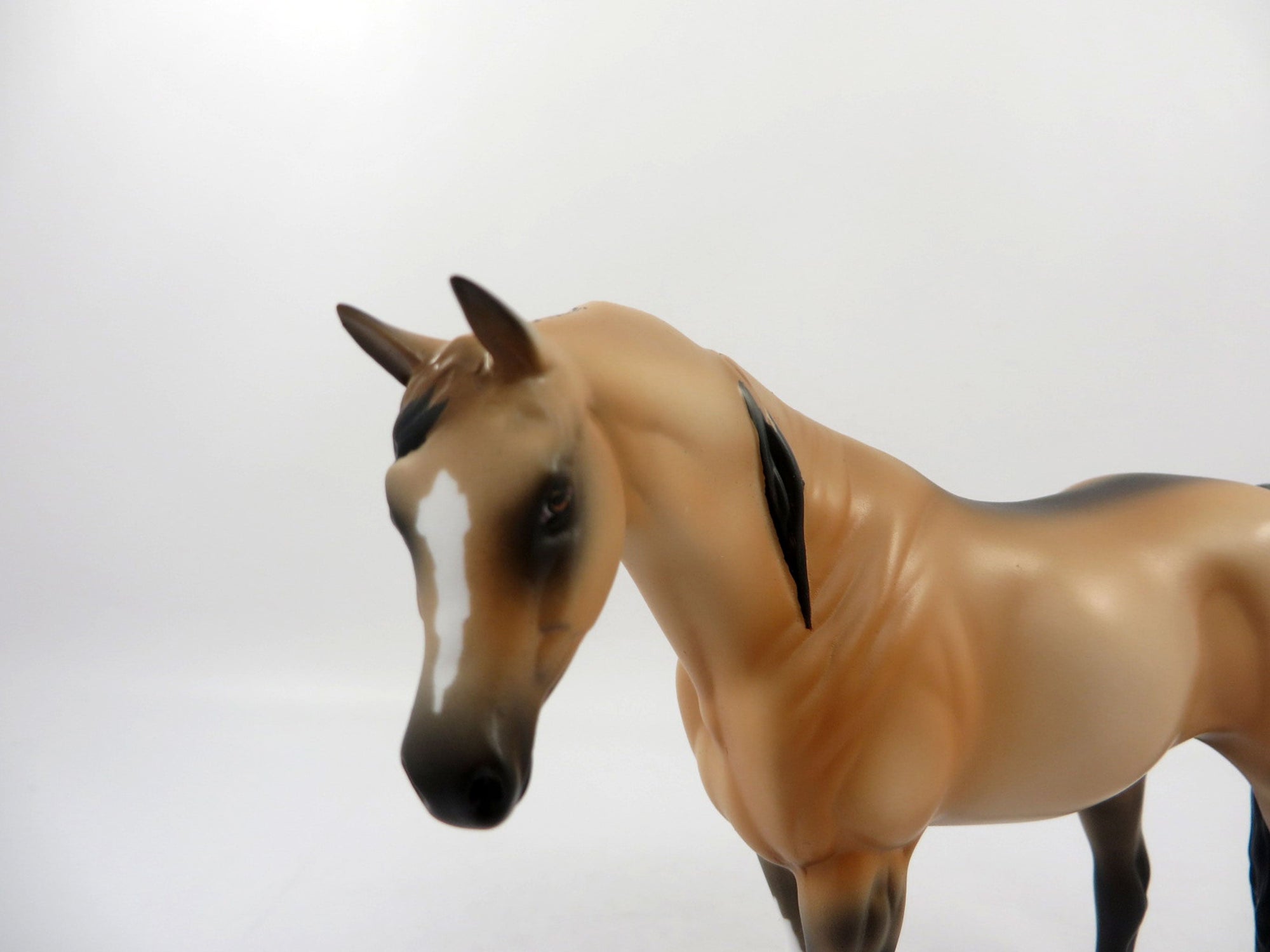 Love Maker-OOAK Buckskin Arabian Pebbles 2/19/21