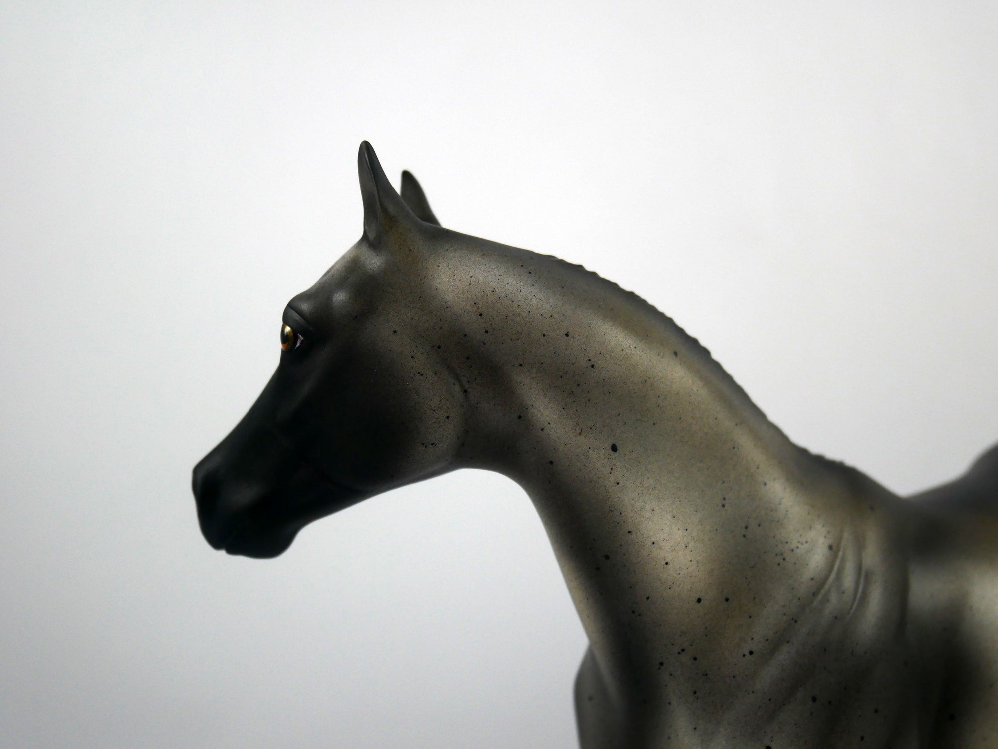 Lover Boy-OOAK-Roan ISH  Model Horse 1/20/21