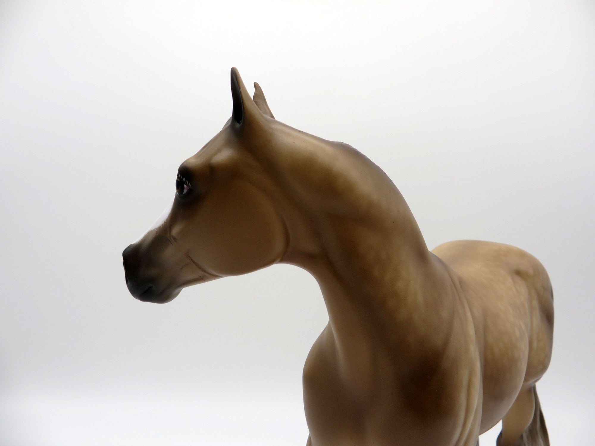 Lucan-OOAK ISH By Sheryl Leisure 3/29/21