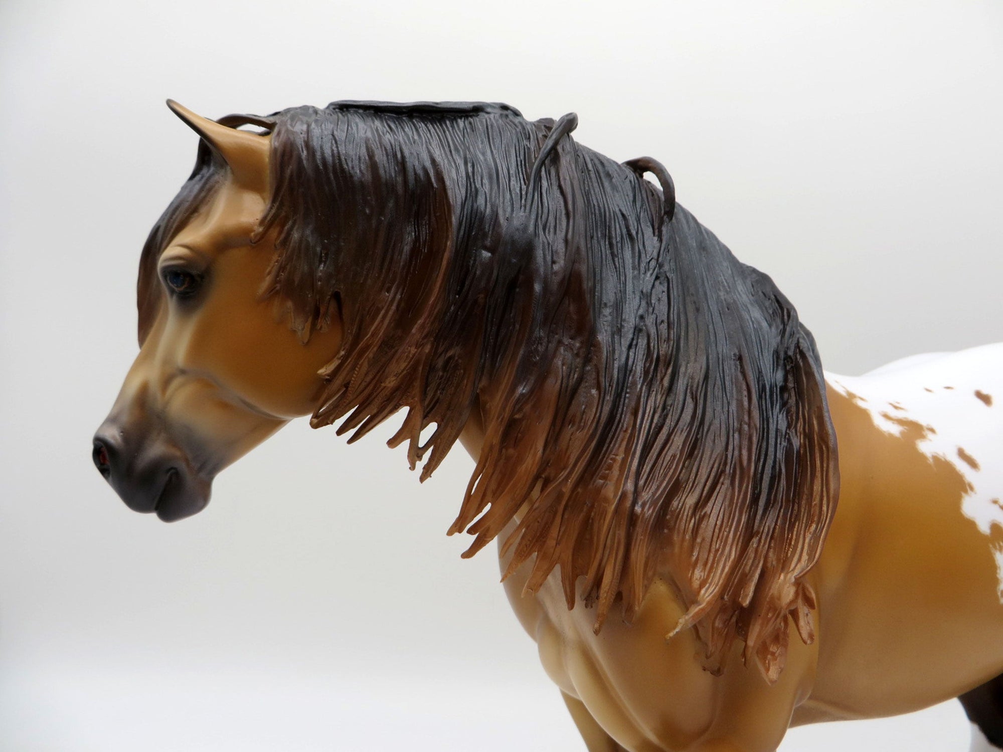 Lucania-OOAK Heavy Draft Mare Buckskin Appaloosa Painted By Caroline Boydston EQ 21