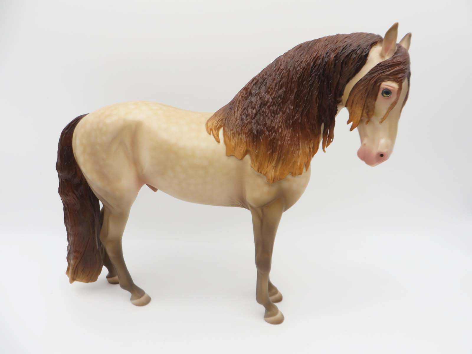 Lucio - OOAK - Dappled Buckskin Pearl Andalusian by Ashley Palmer - Best Offers 2/12/23  P&C 23