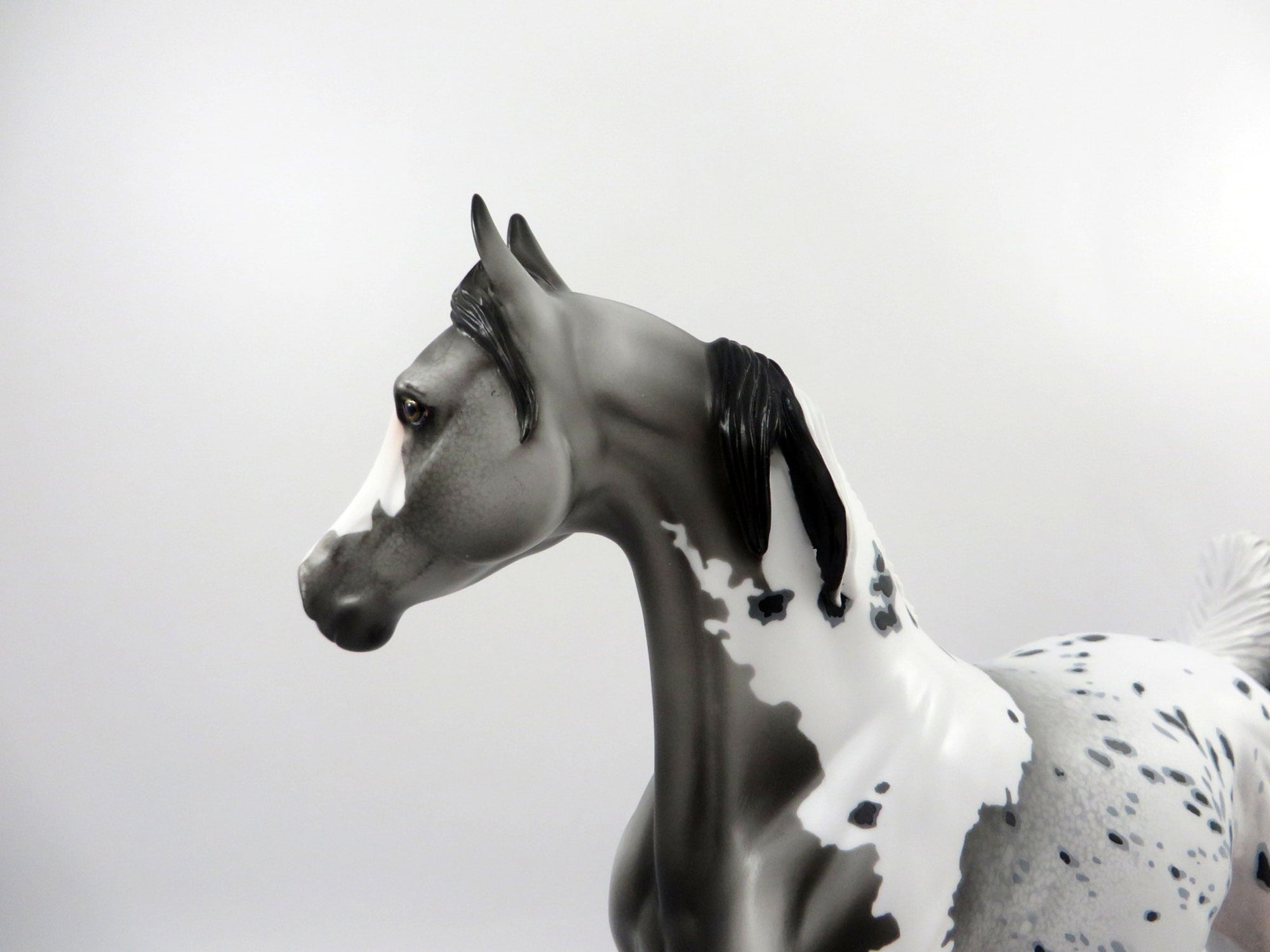 Lucky Draw-OOAK Loud Appaloosa Mare by Dawn Quick Bingo 3/21