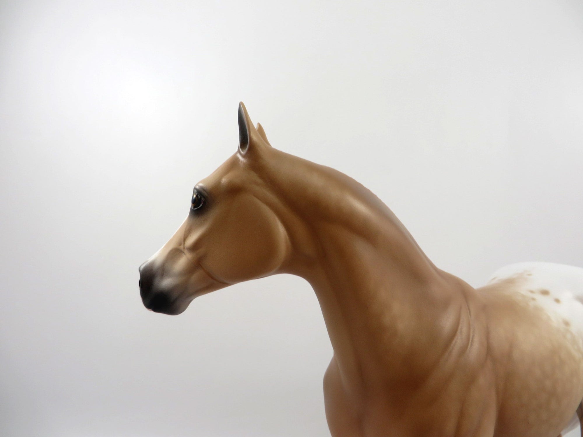 Ludlow-OOAK Dapple Palomino Appaloosa ISH  Painted By Sheryl Leisure