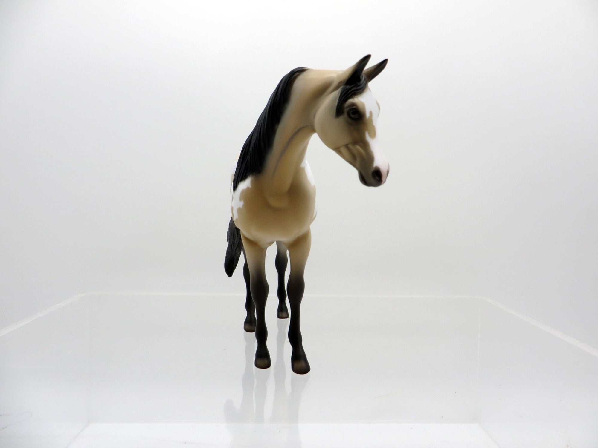 Lumi-OOAK Buckskin Paint Arabian Pebbles  SHCF 2021