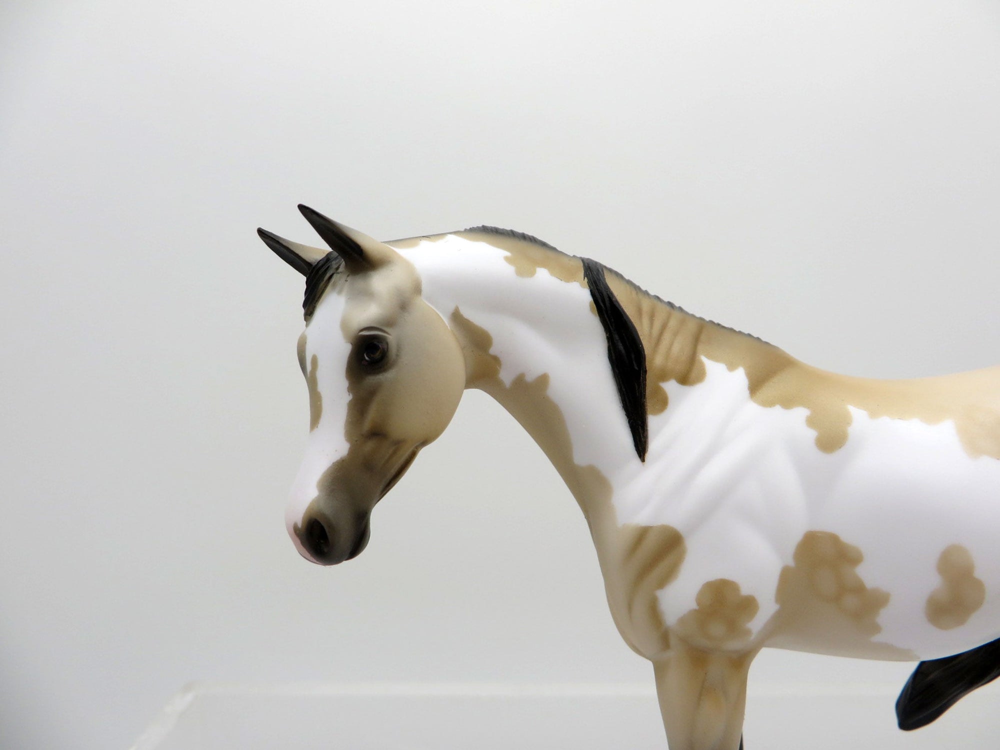 Lumi-OOAK Buckskin Paint Arabian Pebbles  SHCF 2021