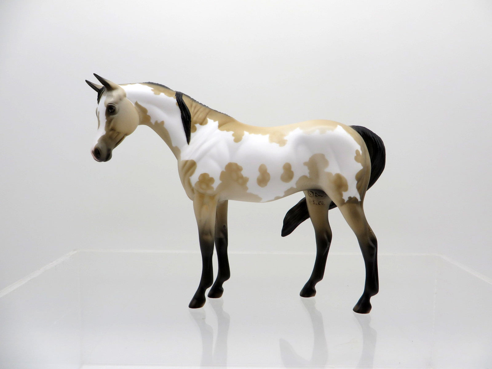 Lumi-OOAK Buckskin Paint Arabian Pebbles  SHCF 2021