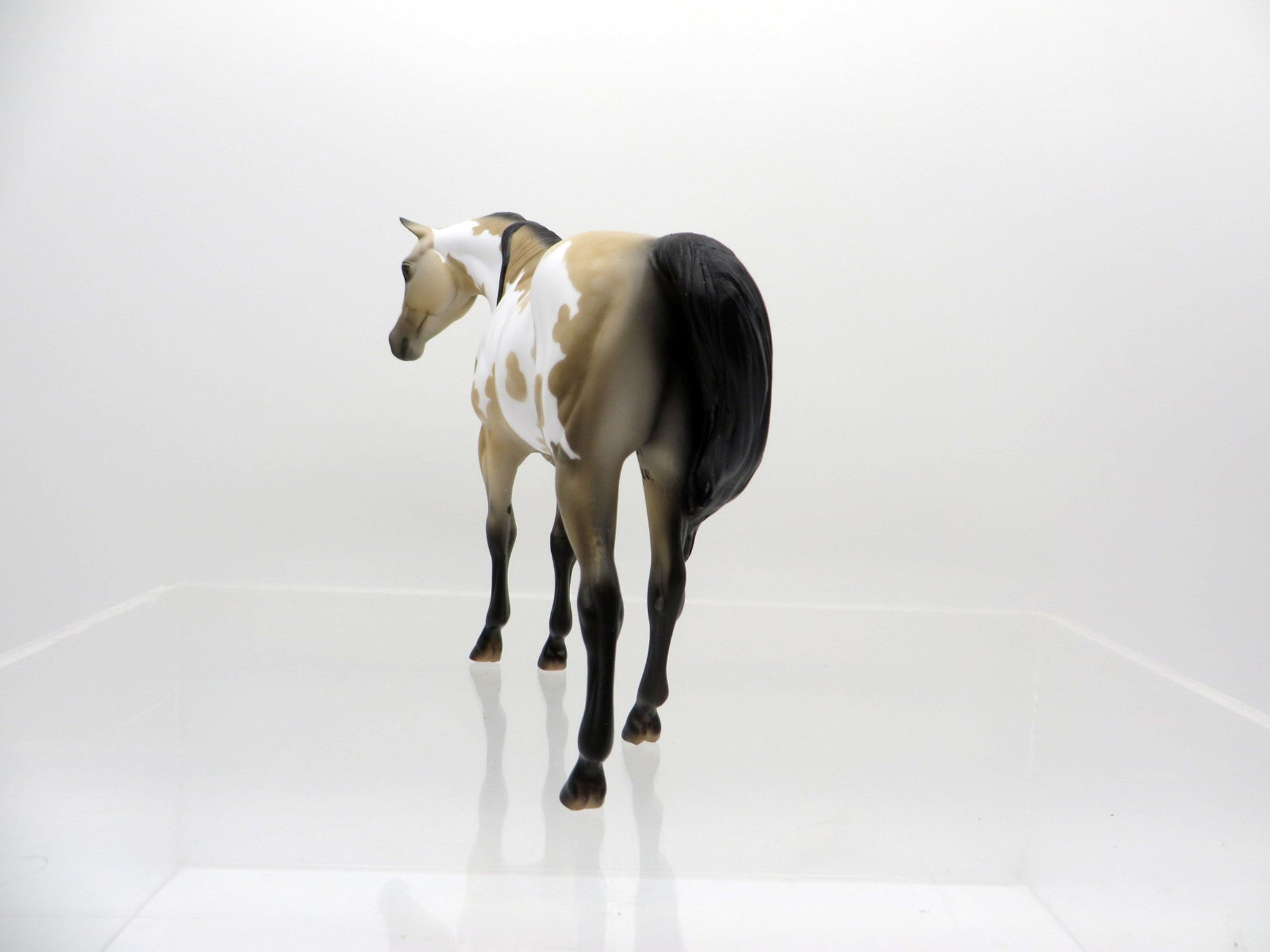 Lumi-OOAK Buckskin Paint Arabian Pebbles  SHCF 2021