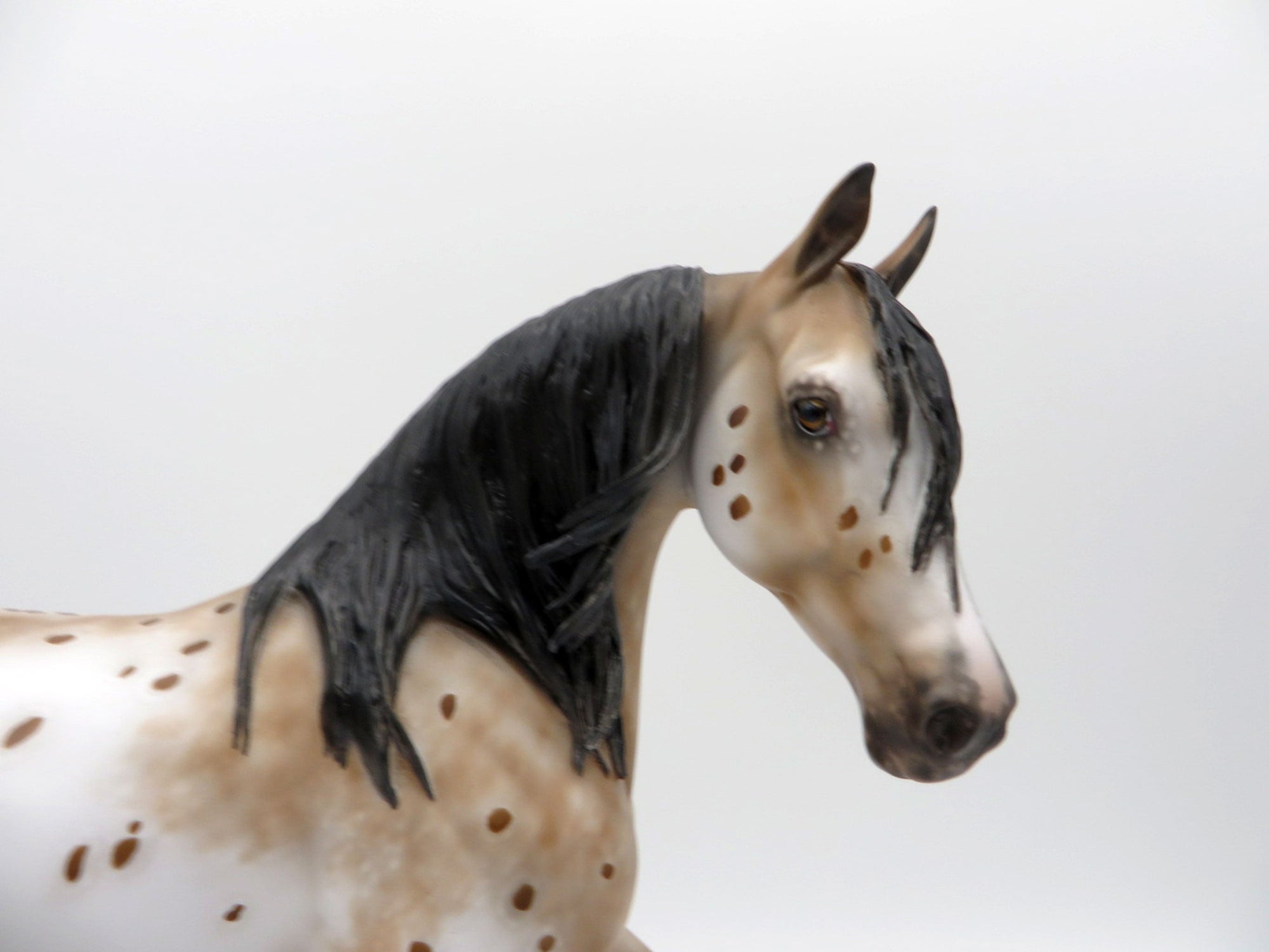 Luv Bug-OOAK Appaloosa Arabian Mare Painted By Sheryl Leisure 5/17/21