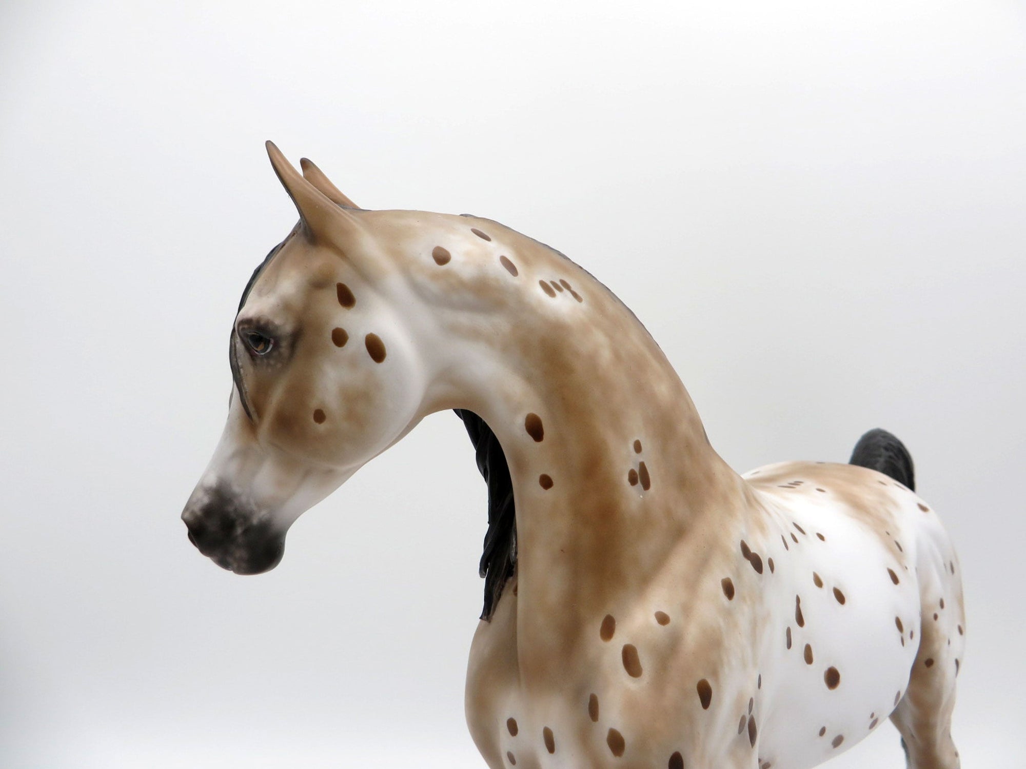 Luv Bug-OOAK Appaloosa Arabian Mare Painted By Sheryl Leisure 5/17/21