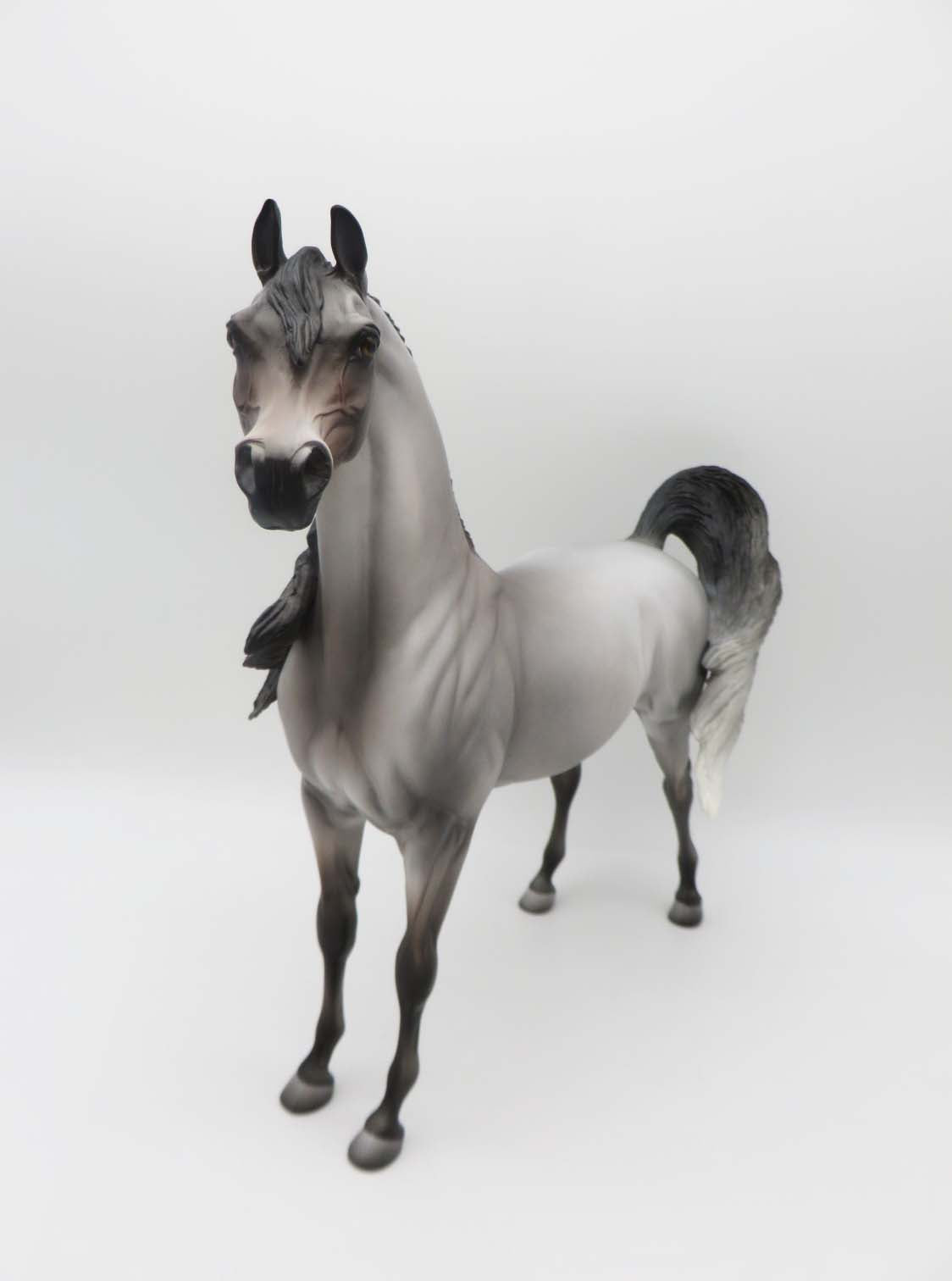 Lykoi - OOAK - Grey Arabian By Jess Hamill - P&amp;C 23