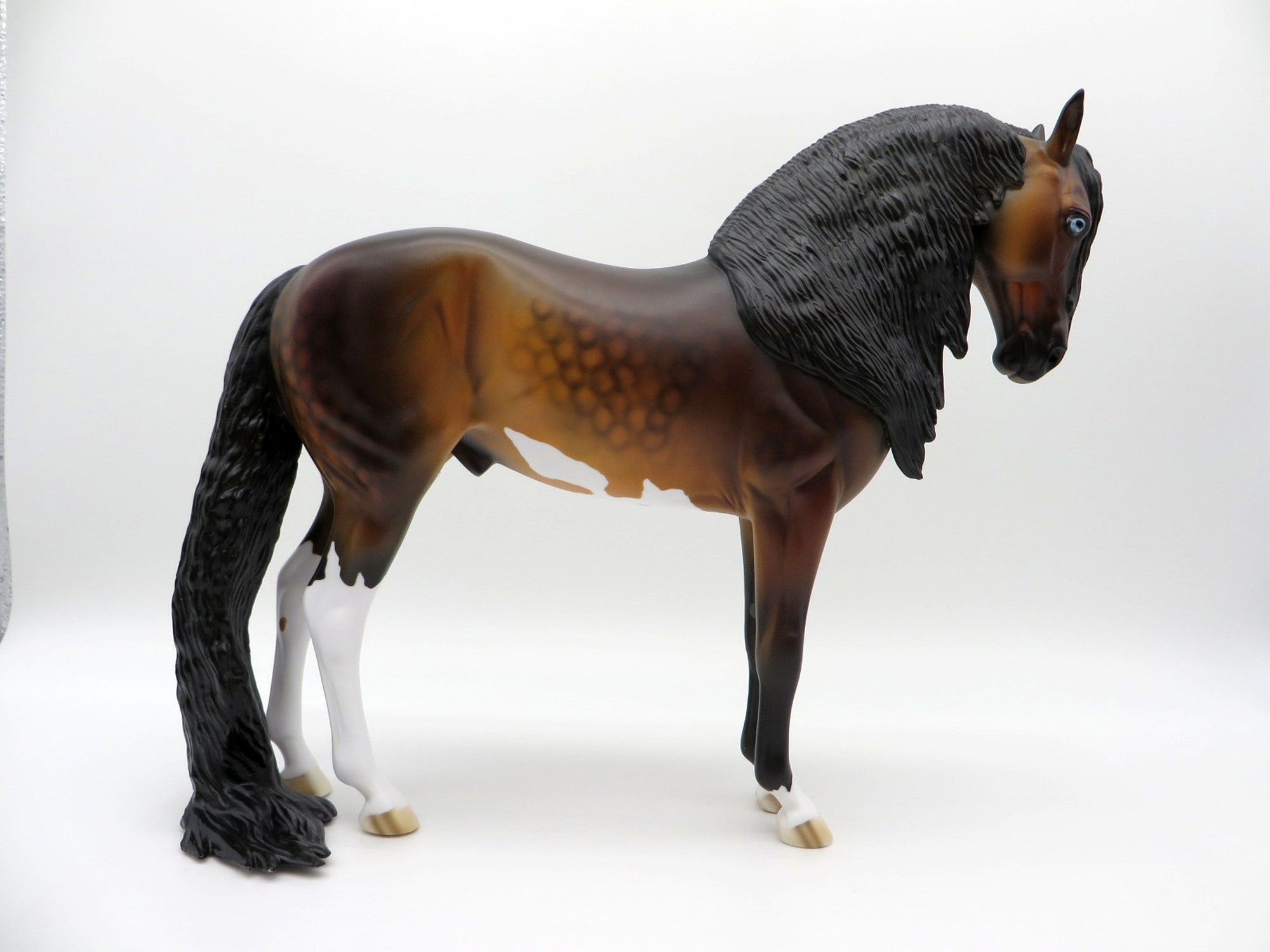 Leonardo-LE-15 Dapple Bay Andalusian PYO Winner Linda Watson