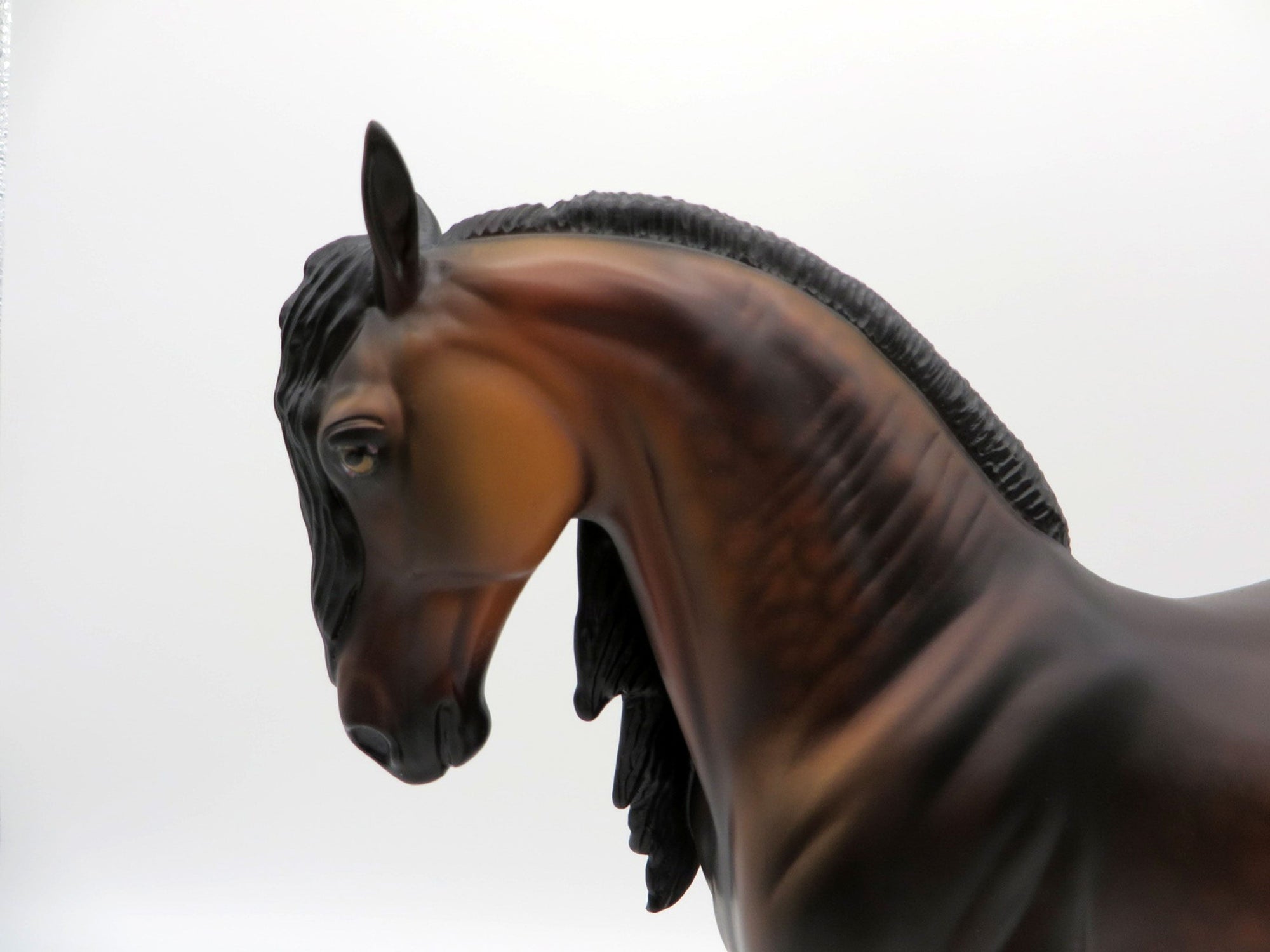 Leonardo-LE-15 Dapple Bay Andalusian PYO Winner Linda Watson