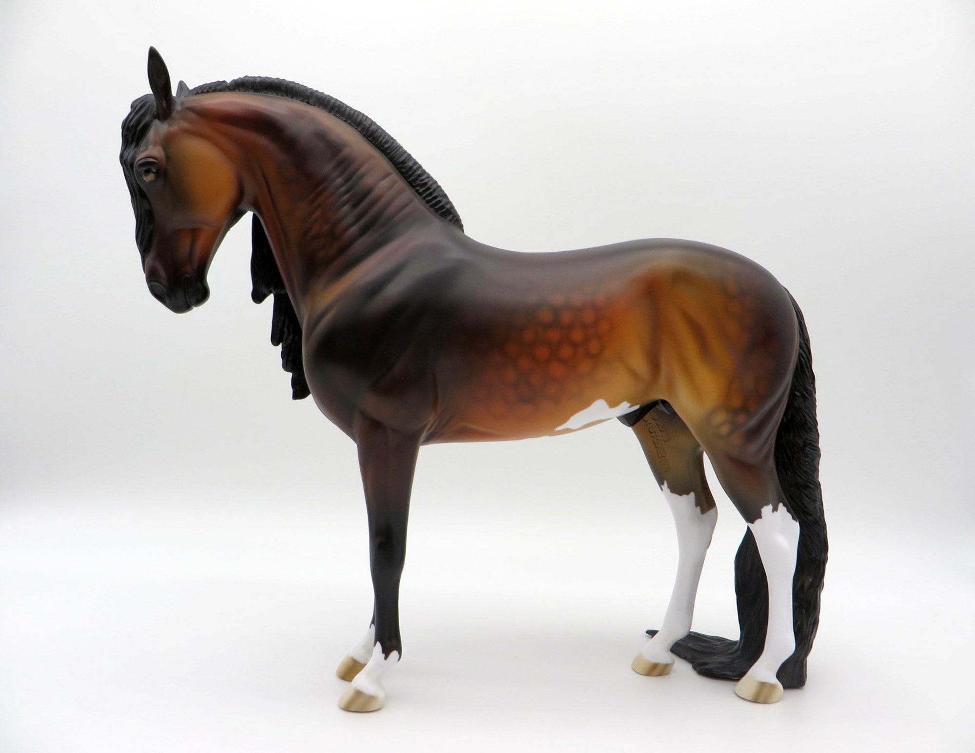 Leonardo-LE-15 Dapple Bay Andalusian PYO Winner Linda Watson