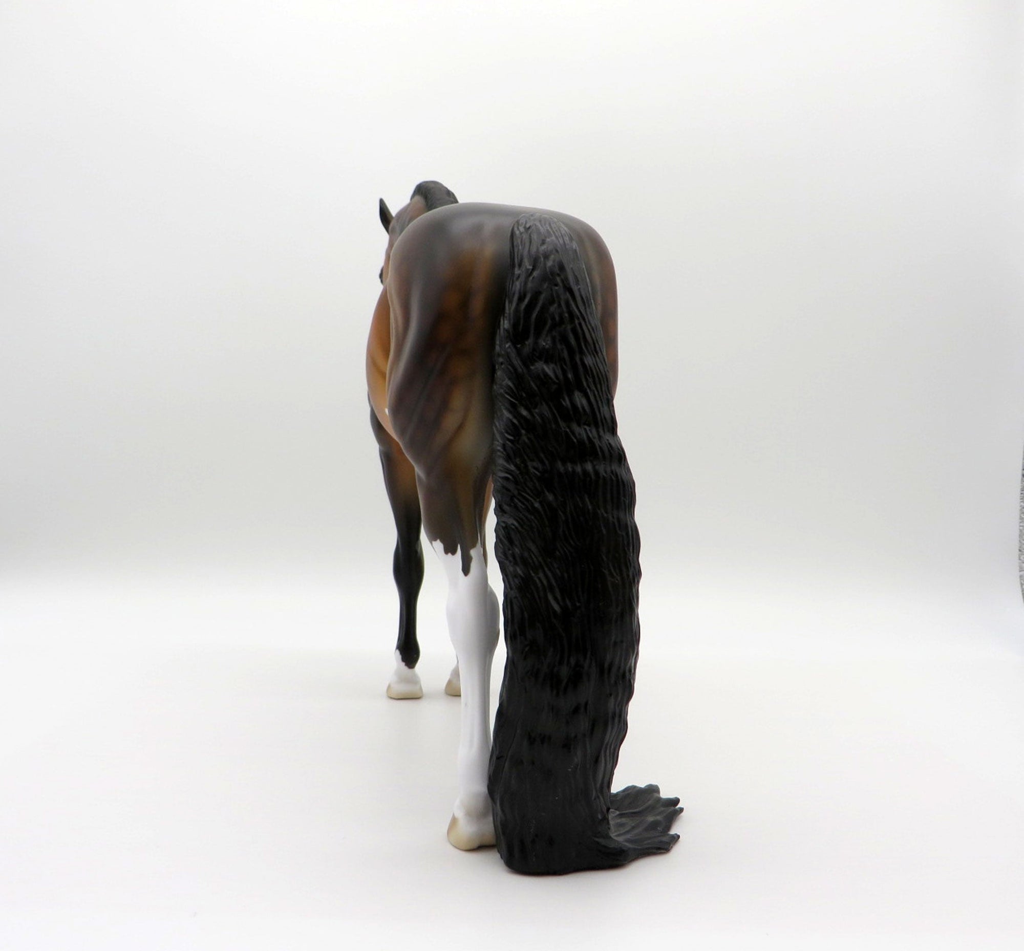 Leonardo-LE-15 Dapple Bay Andalusian PYO Winner Linda Watson