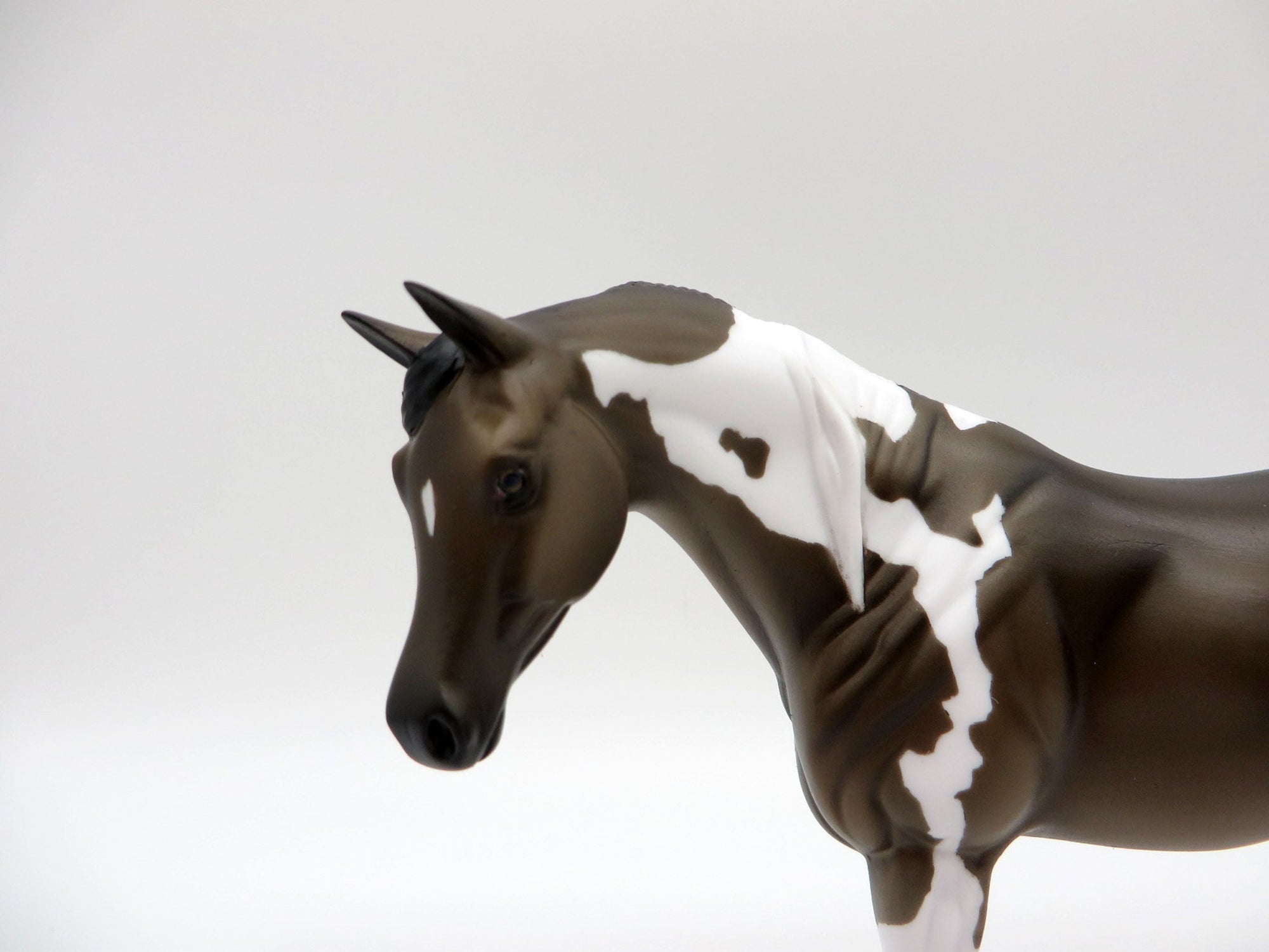 Lyric-OOAK Grulla Pint  Arabian Mare Pebbles Painted by Ellen Robbins EQ 21