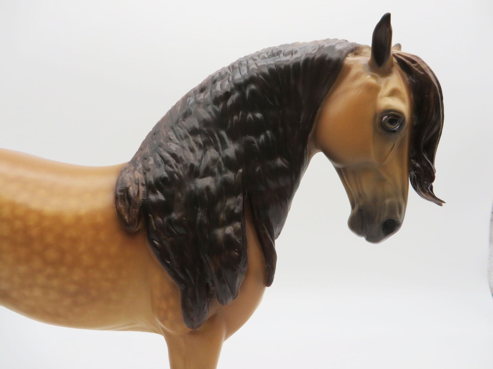 Macauly  - OOAK Claybank Dun Andalusian Painted by Sheryl Leisure 9/19/22