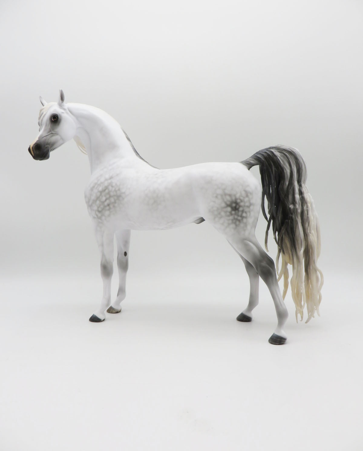 Marengo - Grey Arabian Painted by MYLA PEARCE 9/30/22