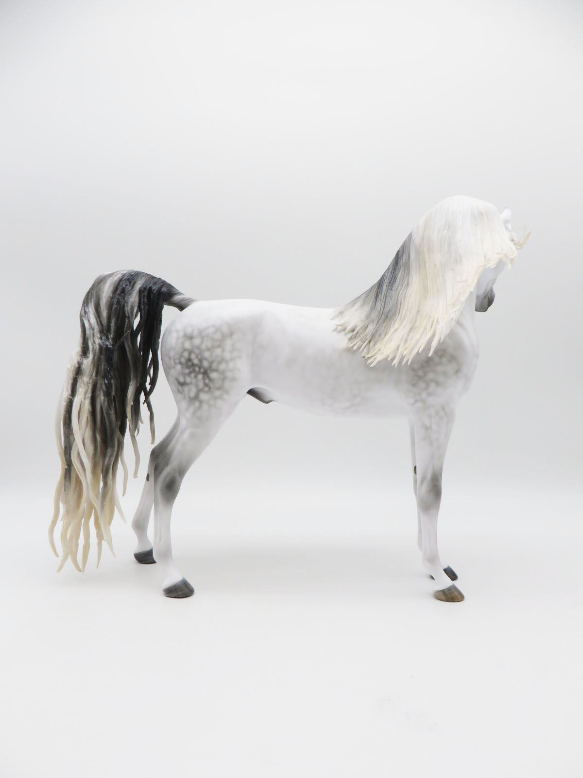 Marengo - Grey Arabian Painted by MYLA PEARCE 9/30/22