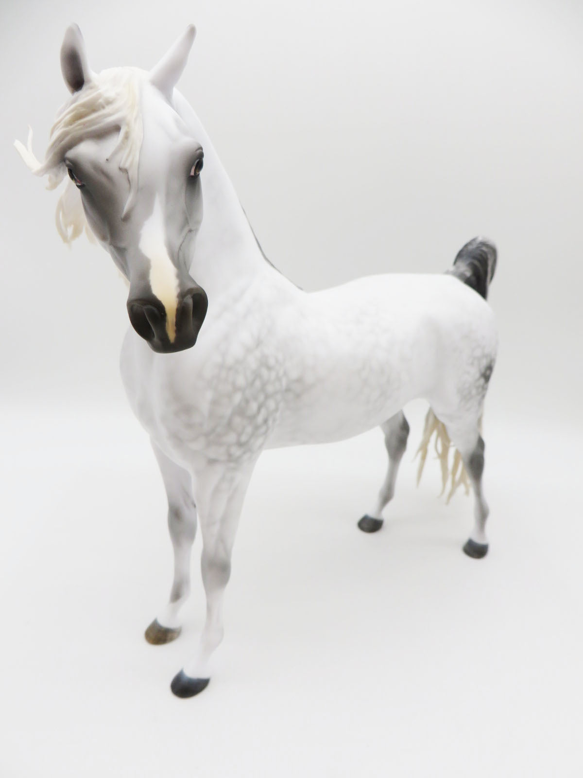 Marengo - Grey Arabian Painted by MYLA PEARCE 9/30/22