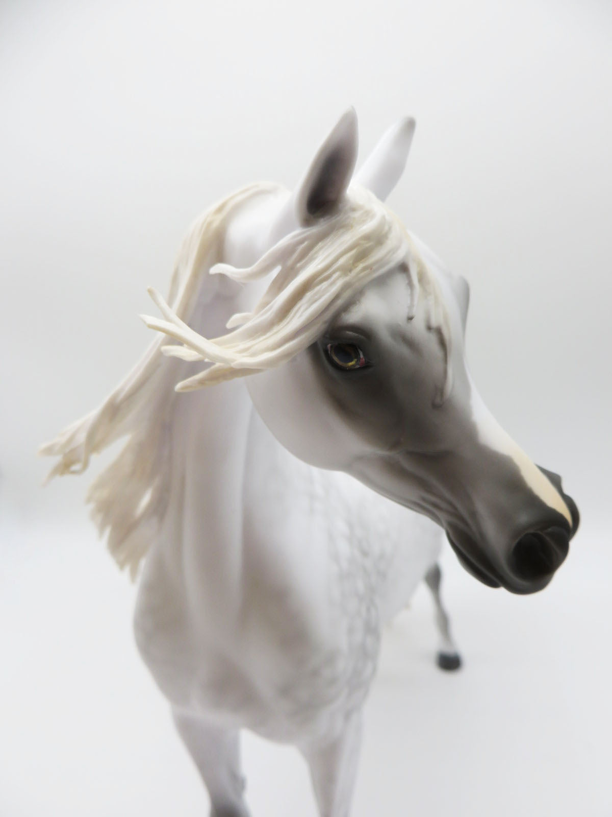 Marengo - Grey Arabian Painted by MYLA PEARCE 9/30/22